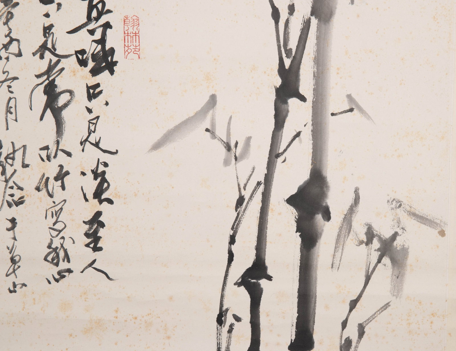 Yellow leaf tree bamboo - 4