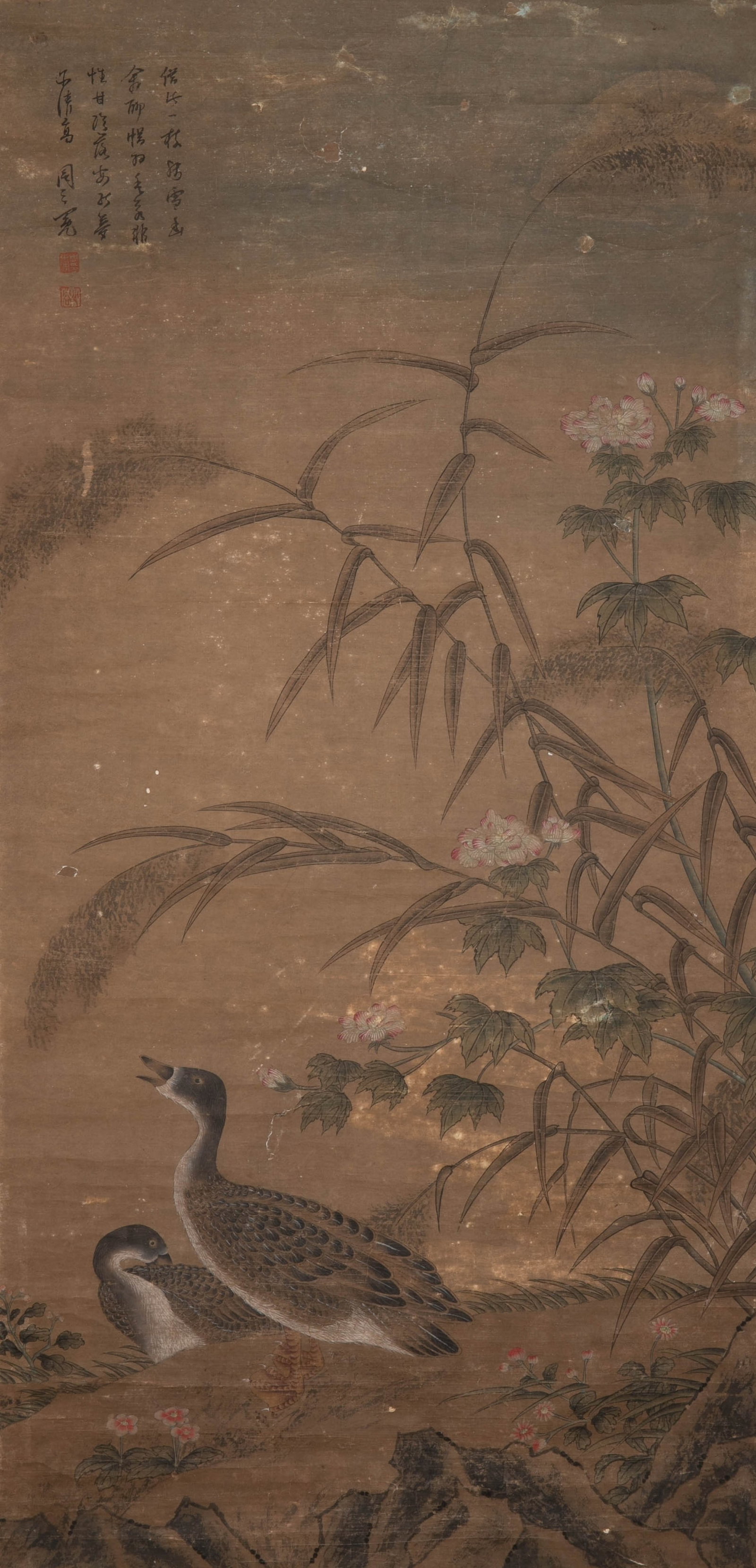 Zhou Zhimian Waterfowl Hibiscus: Zhou Zhimian Waterfowl Hibiscus