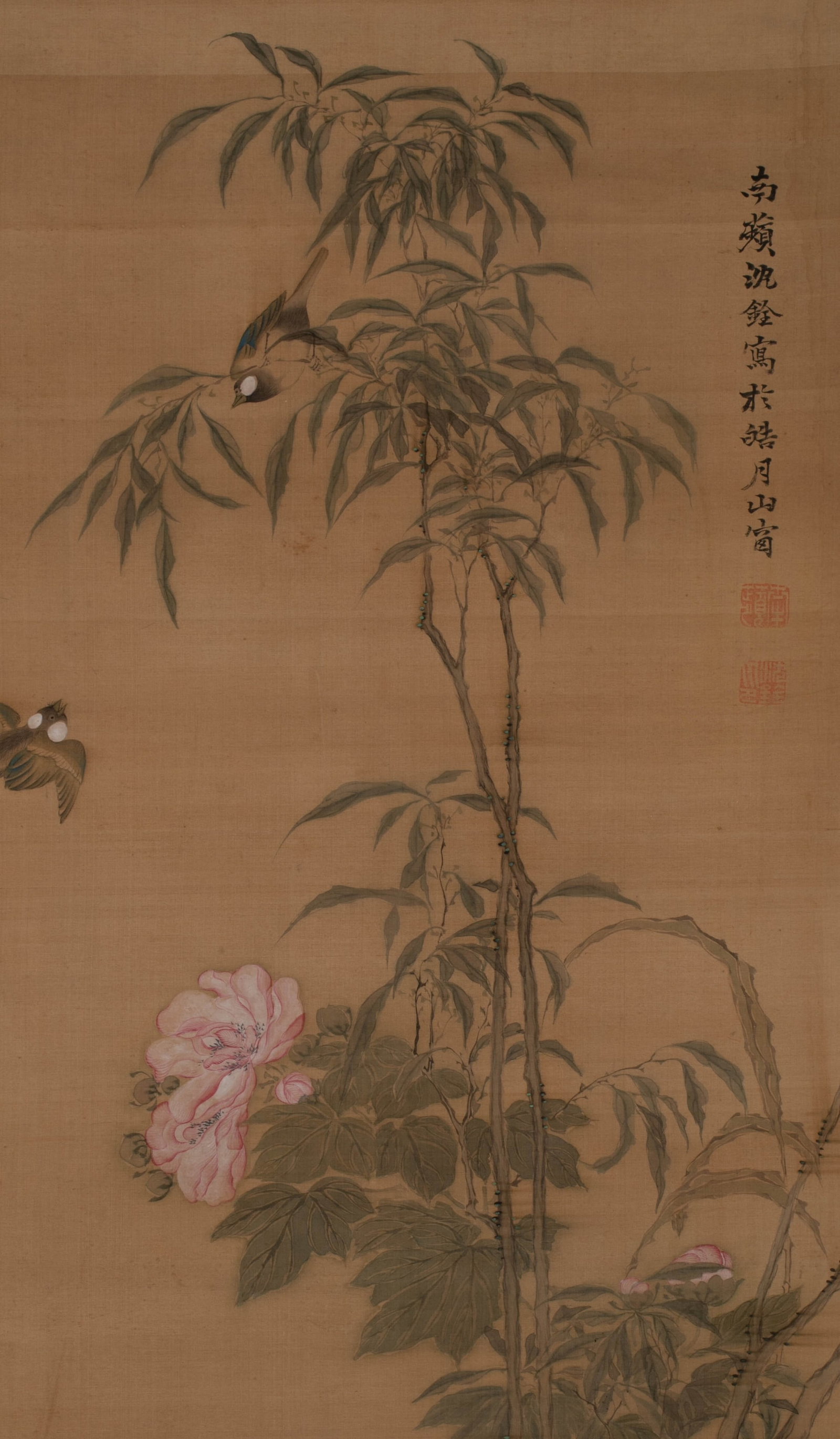 Shen Quan Wealth Picture: Shen Quan Wealth Picture