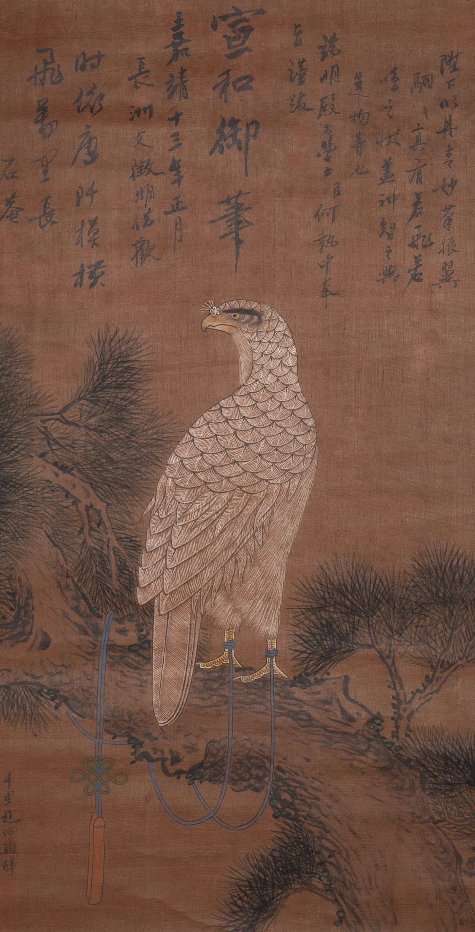 Shi'an Eagle Picture: Shi'an Eagle Picture