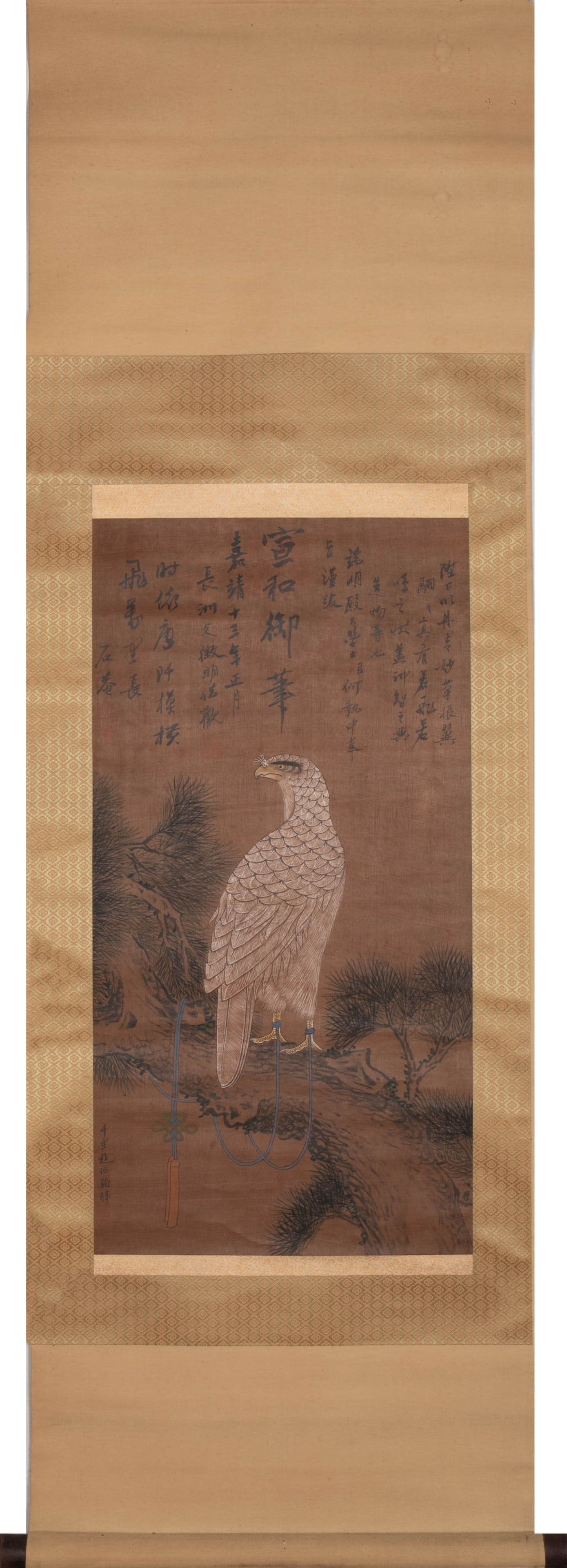 Shi'an Eagle Picture - 2