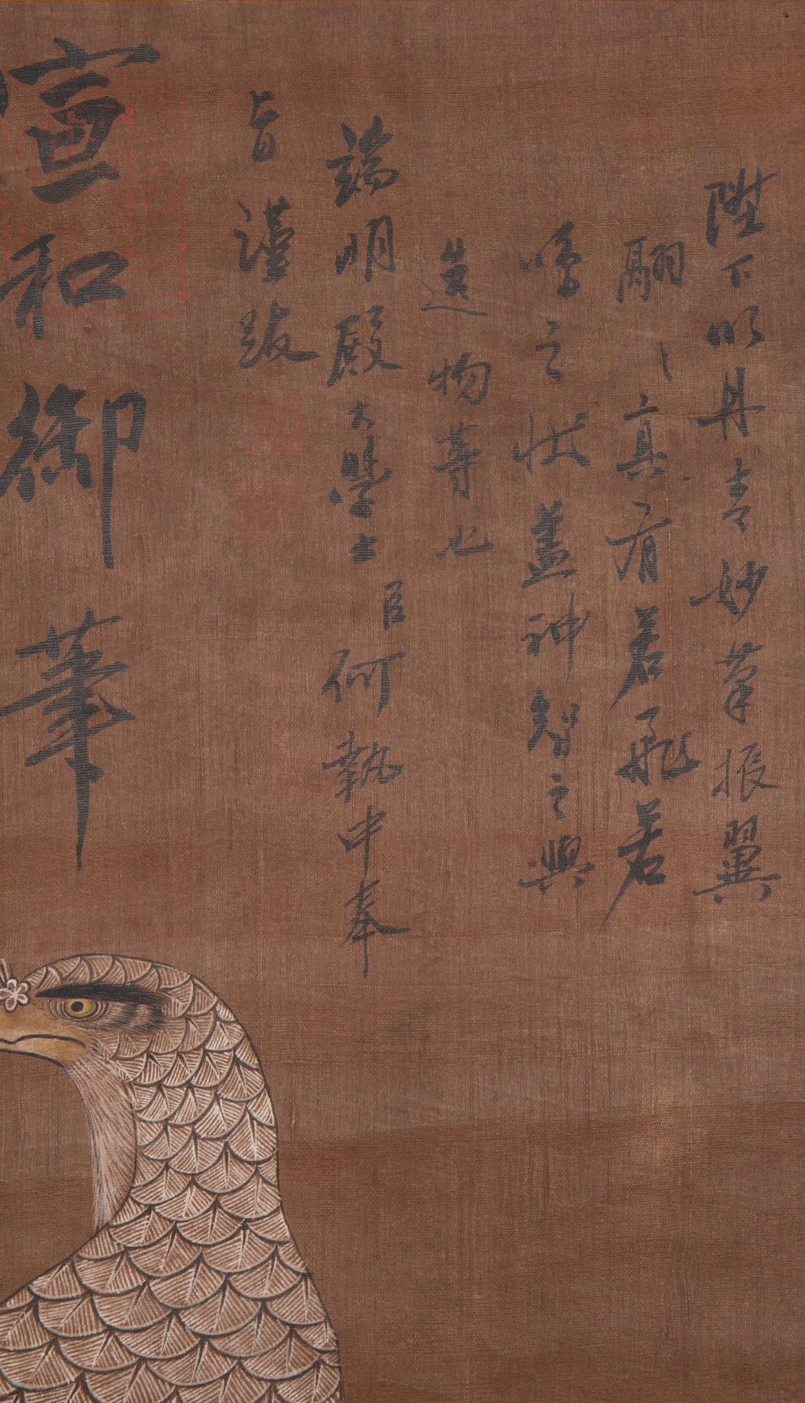 Shi'an Eagle Picture - 3