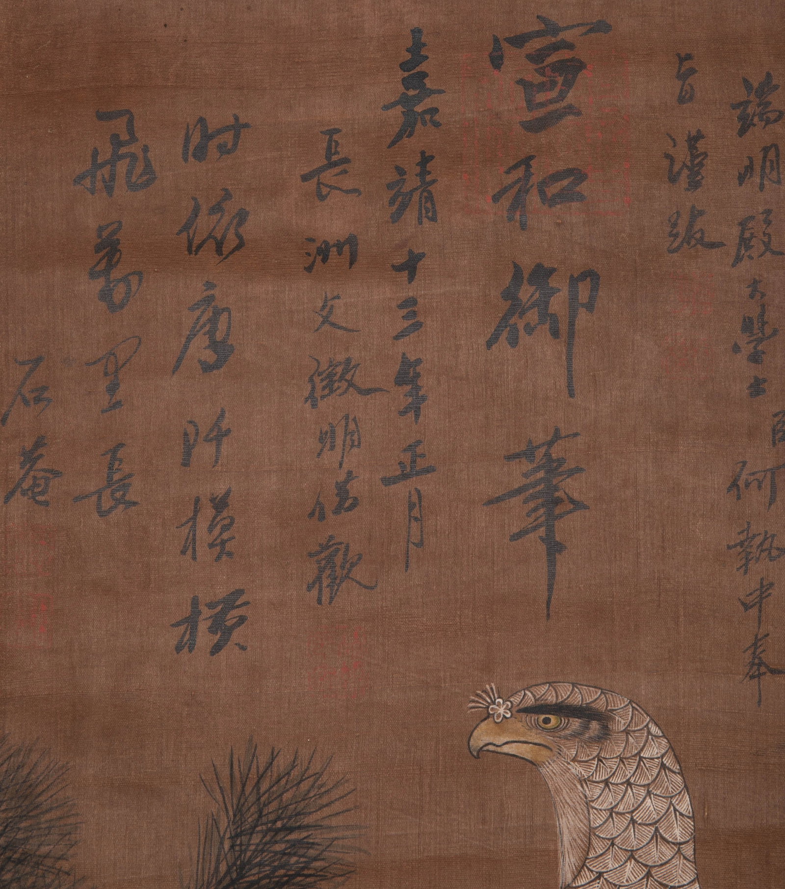 Shi'an Eagle Picture - 4