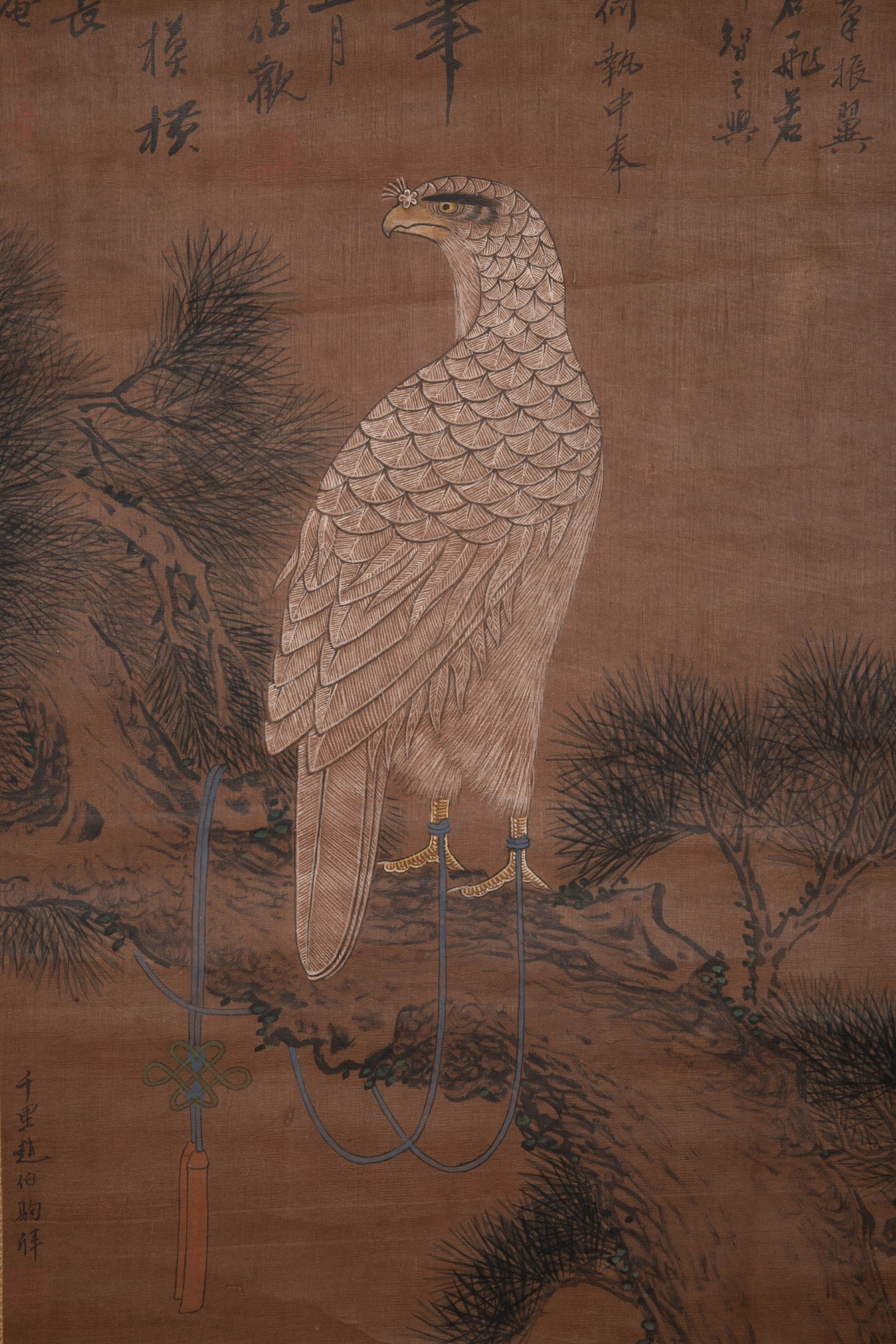 Shi'an Eagle Picture - 5