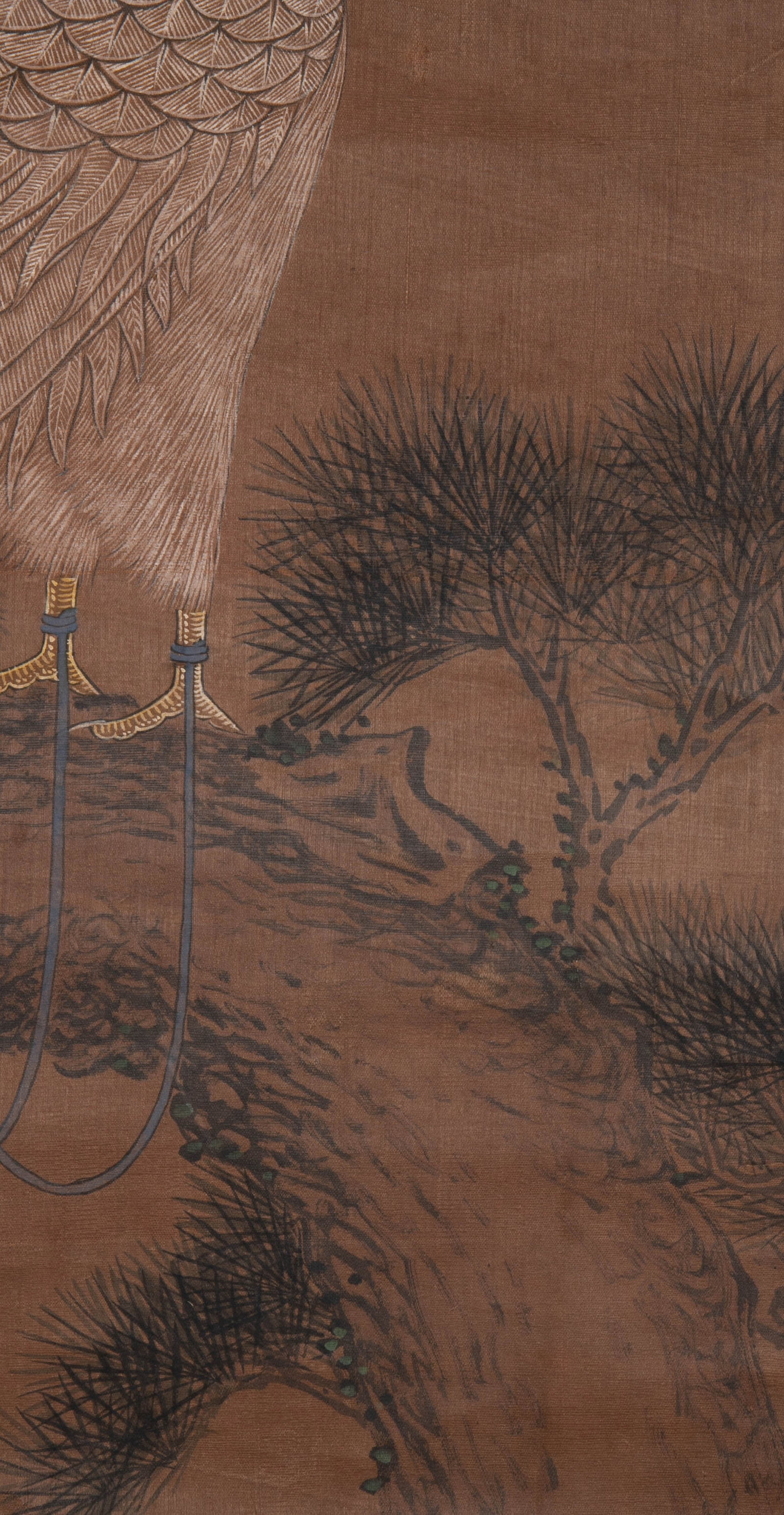 Shi'an Eagle Picture - 7