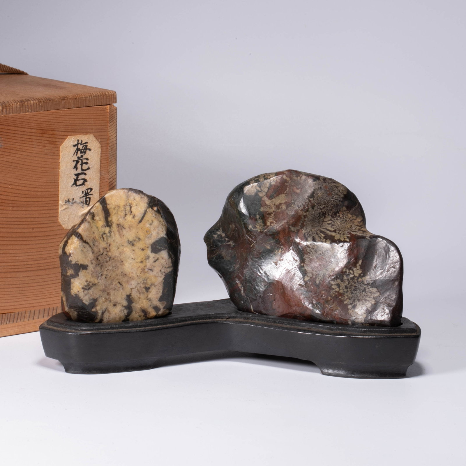 Chrysanthemum Stone Shanzi Zhiwu (1 of 7)