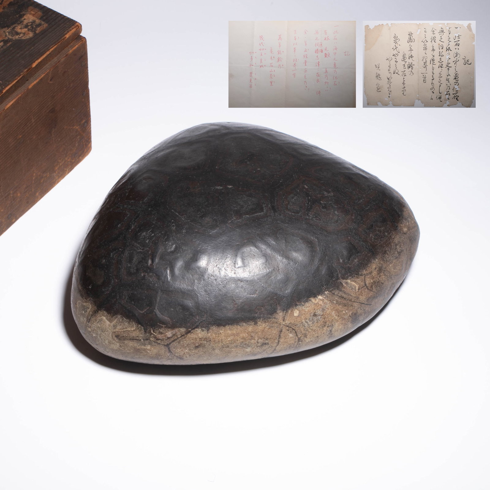 Ming Dynasty turtle-shaped ornamental stone: Ming Dynasty turtle-shaped ornamental stone