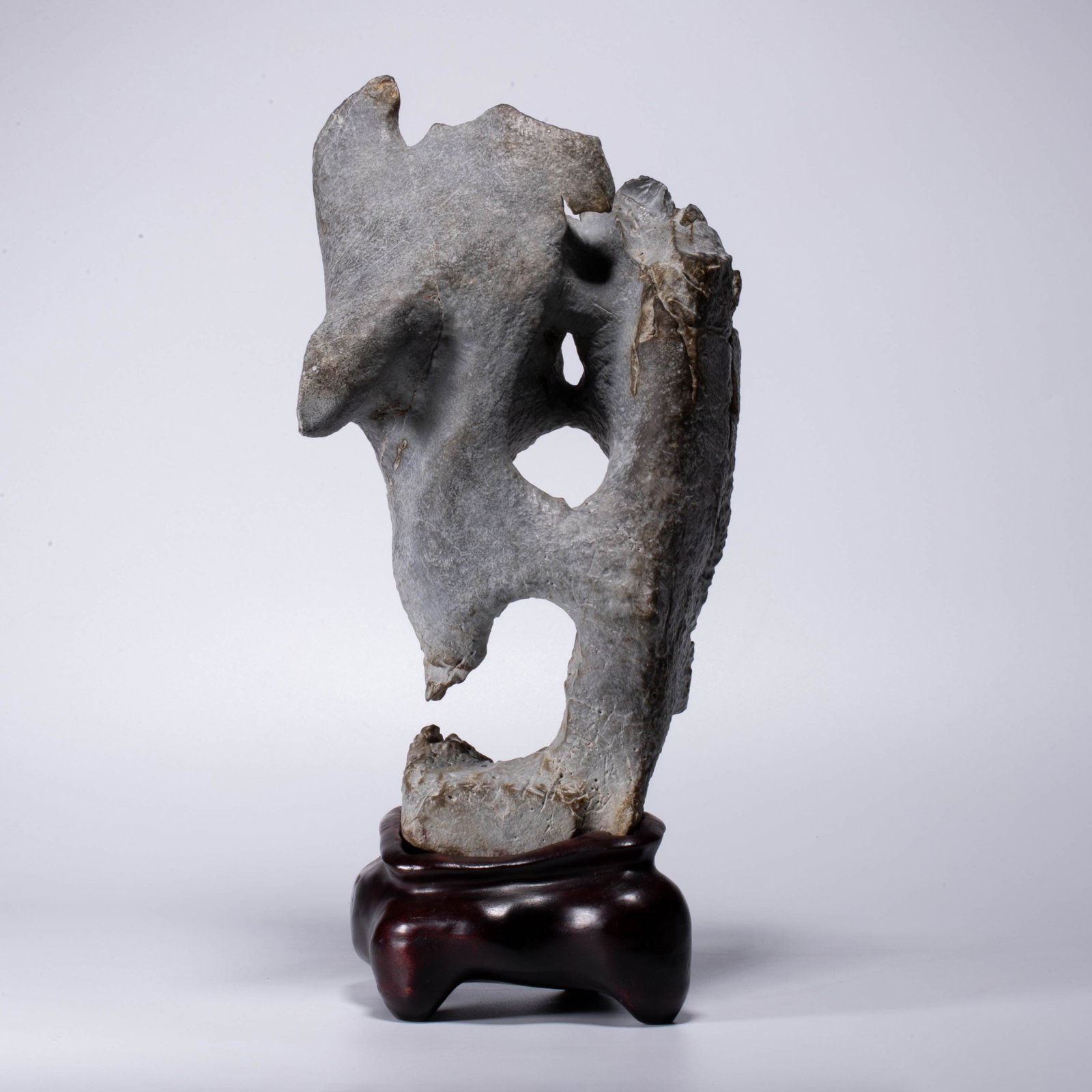 Qing Dynasty Taihu Stone: Qing Dynasty Taihu Stone