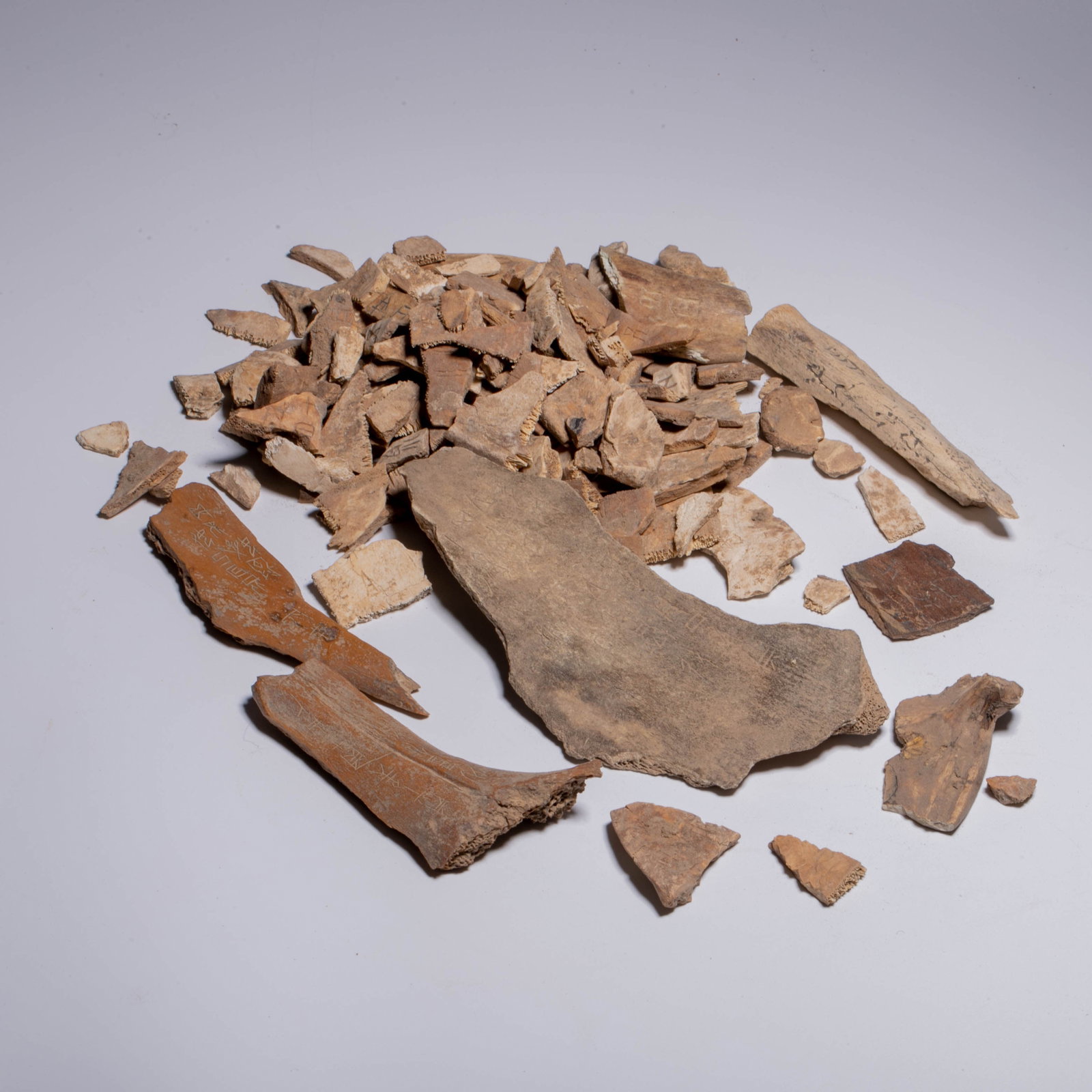A set of oracle bones (1 of 5)