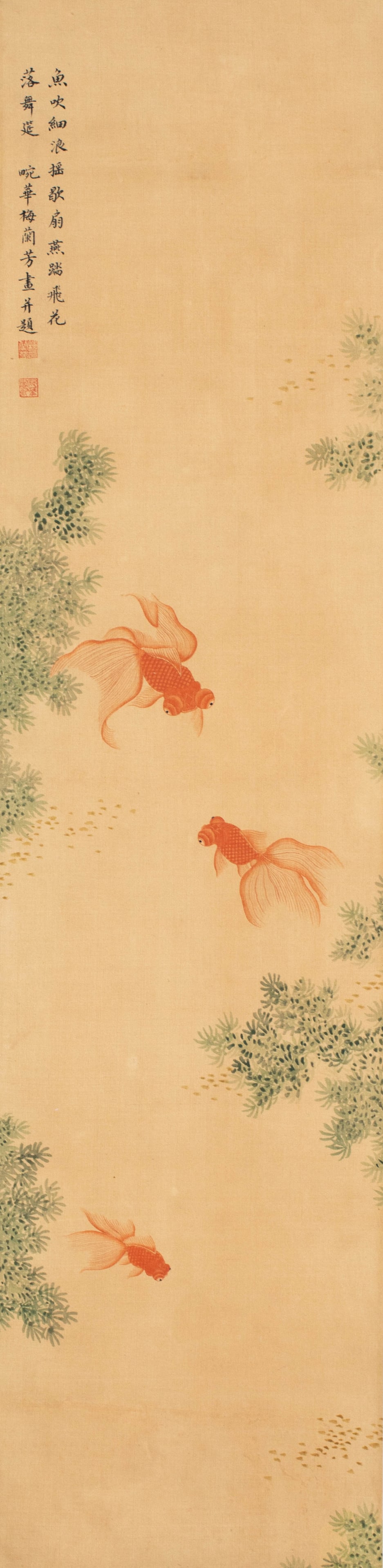 Mei Lanfang Goldfish (1 of 7)