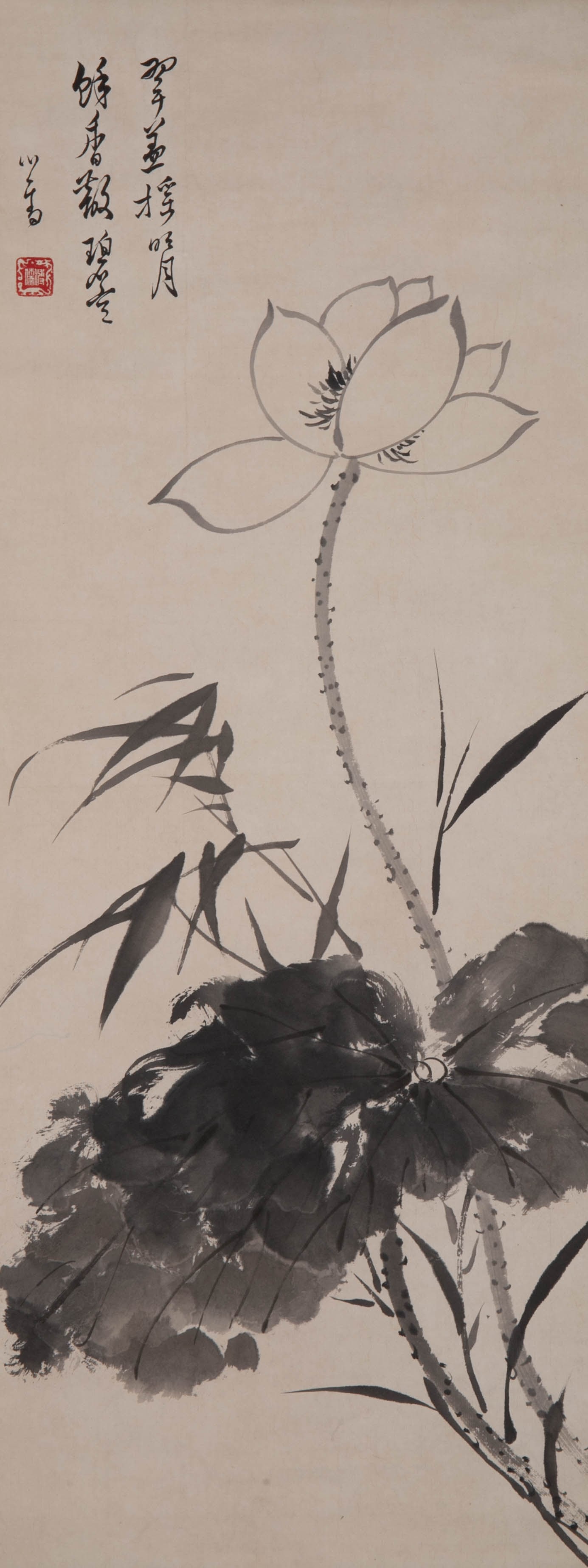 Puru Lotus: Puru Lotus