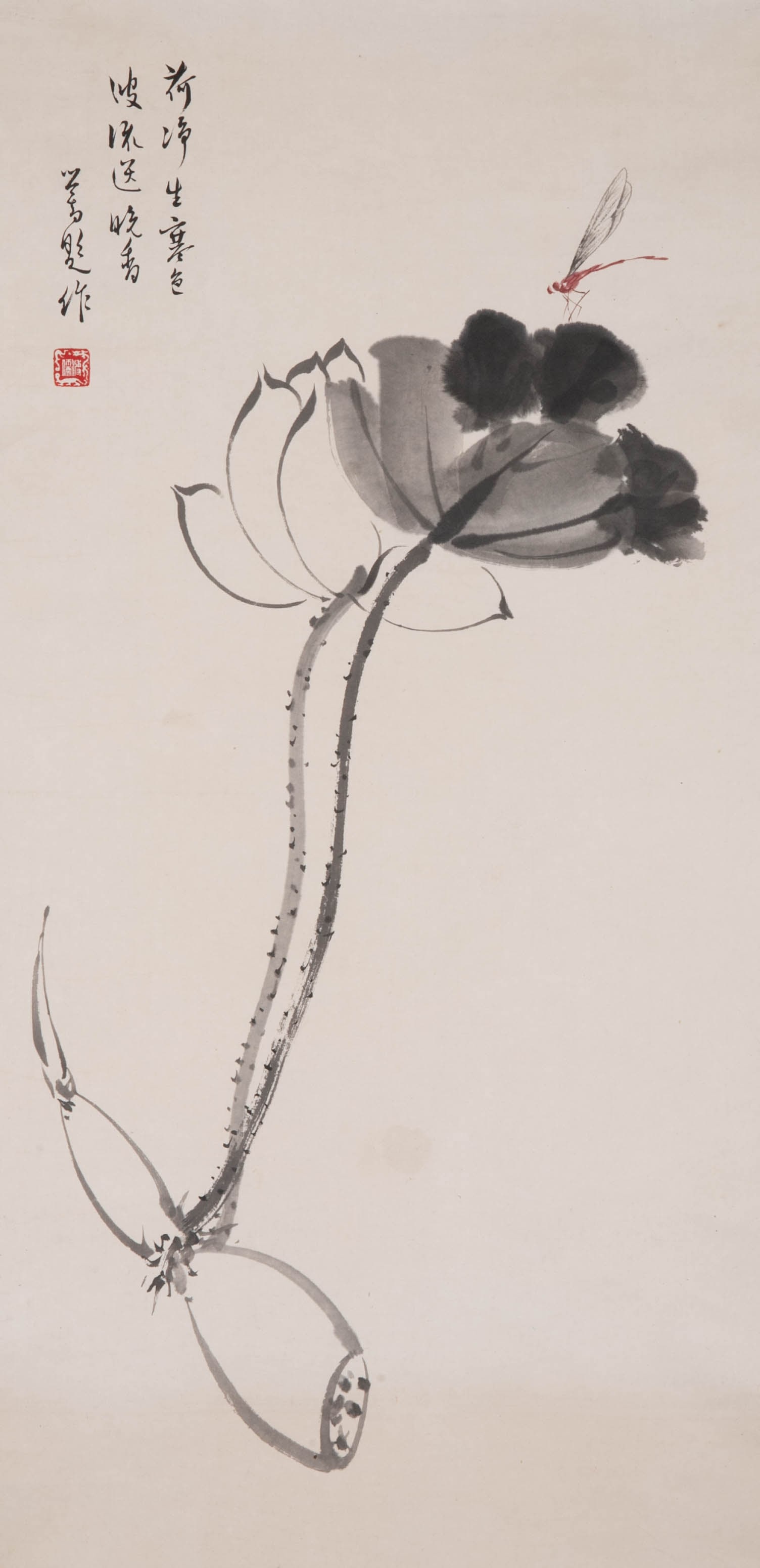 Puru's Lotus Interesting Pictures: Puru's Lotus Interesting Pictures