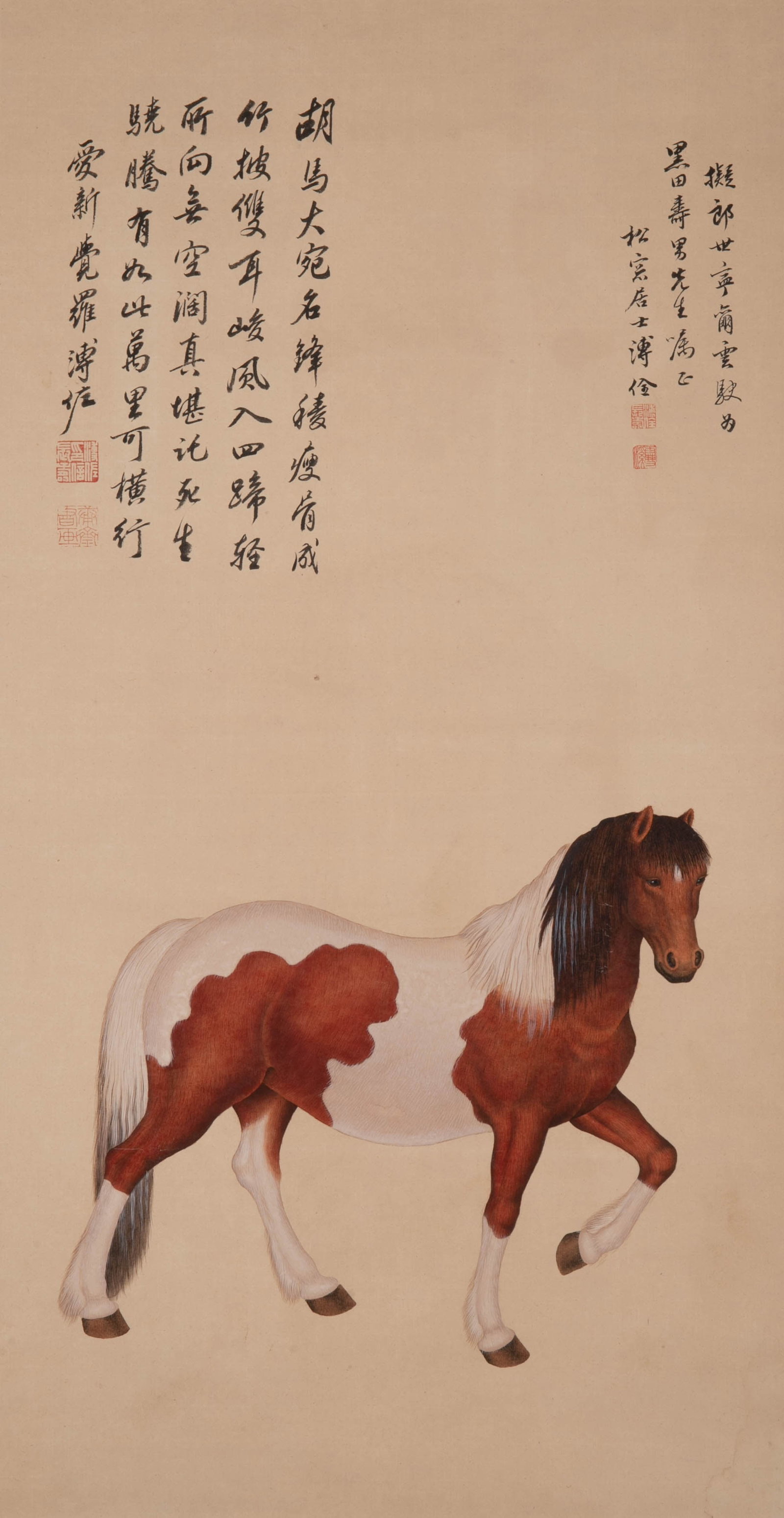 Pu Quan's horse drawing: Pu Quan's horse drawing