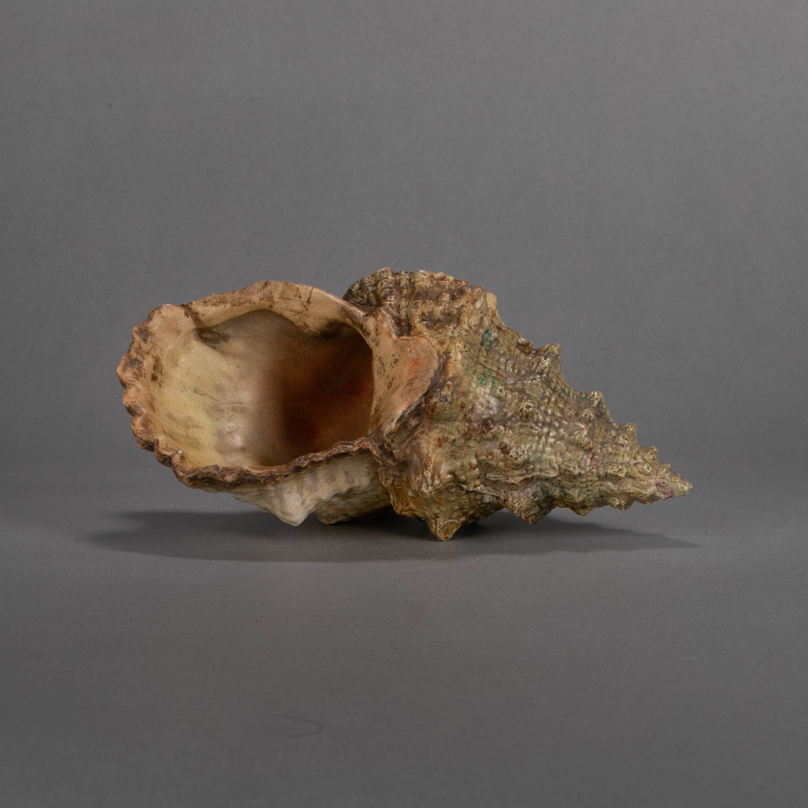 Qing Dynasty Bionic Conch-shaped Object - 2