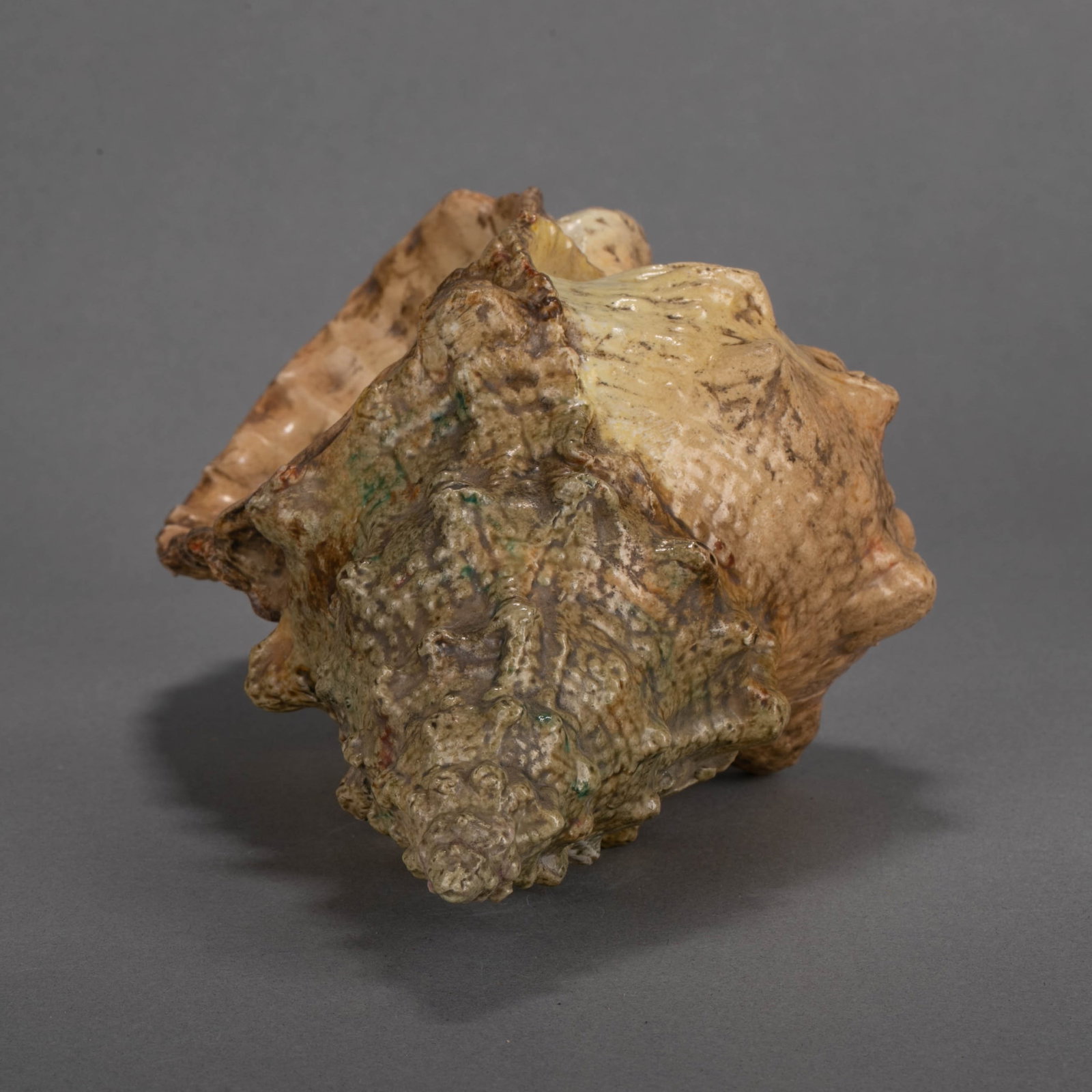 Qing Dynasty Bionic Conch-shaped Object - 5