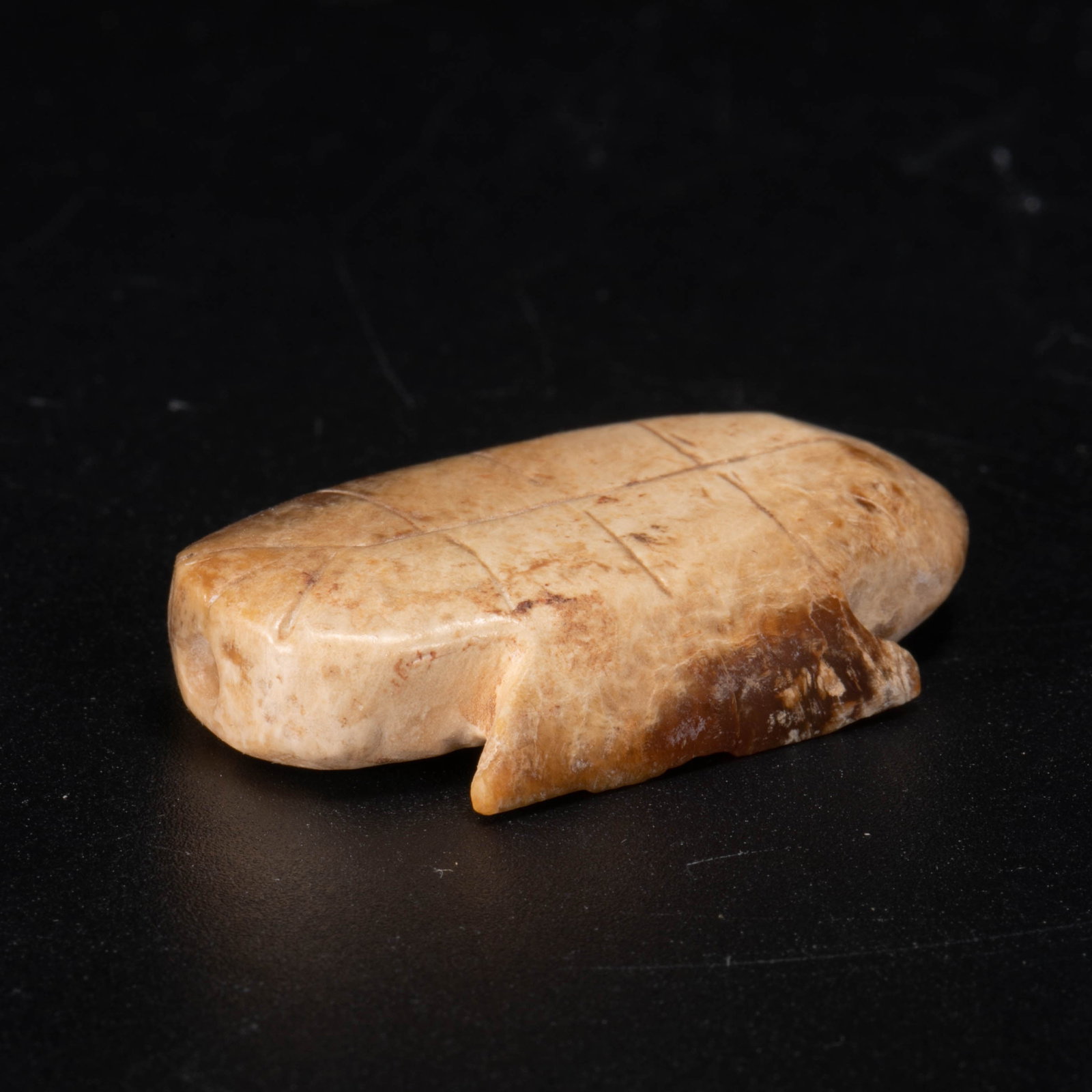 Shang Jade Oracle, Bone and Turtle Shell (1 of 6)