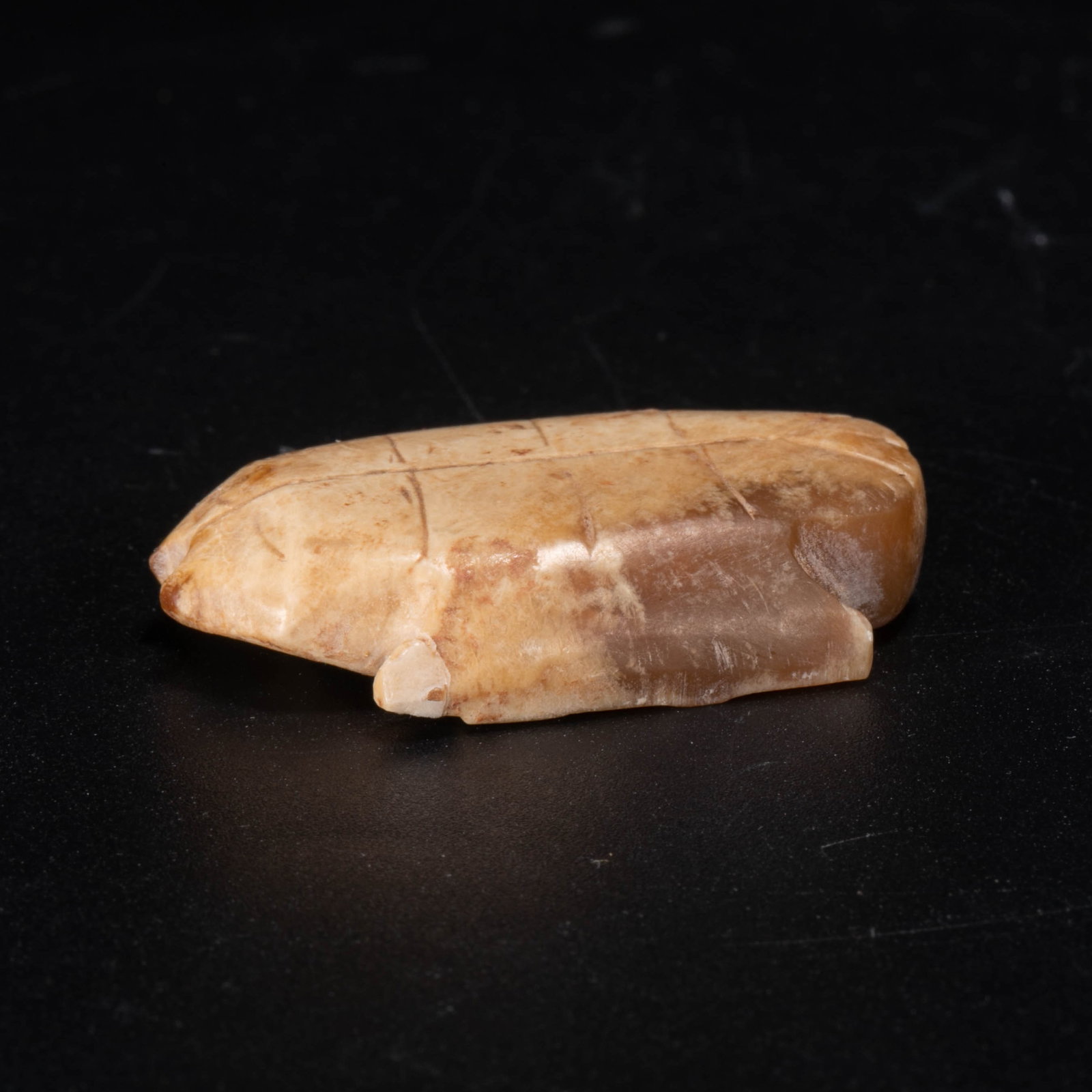 Shang Jade Oracle, Bone and Turtle Shell - 2