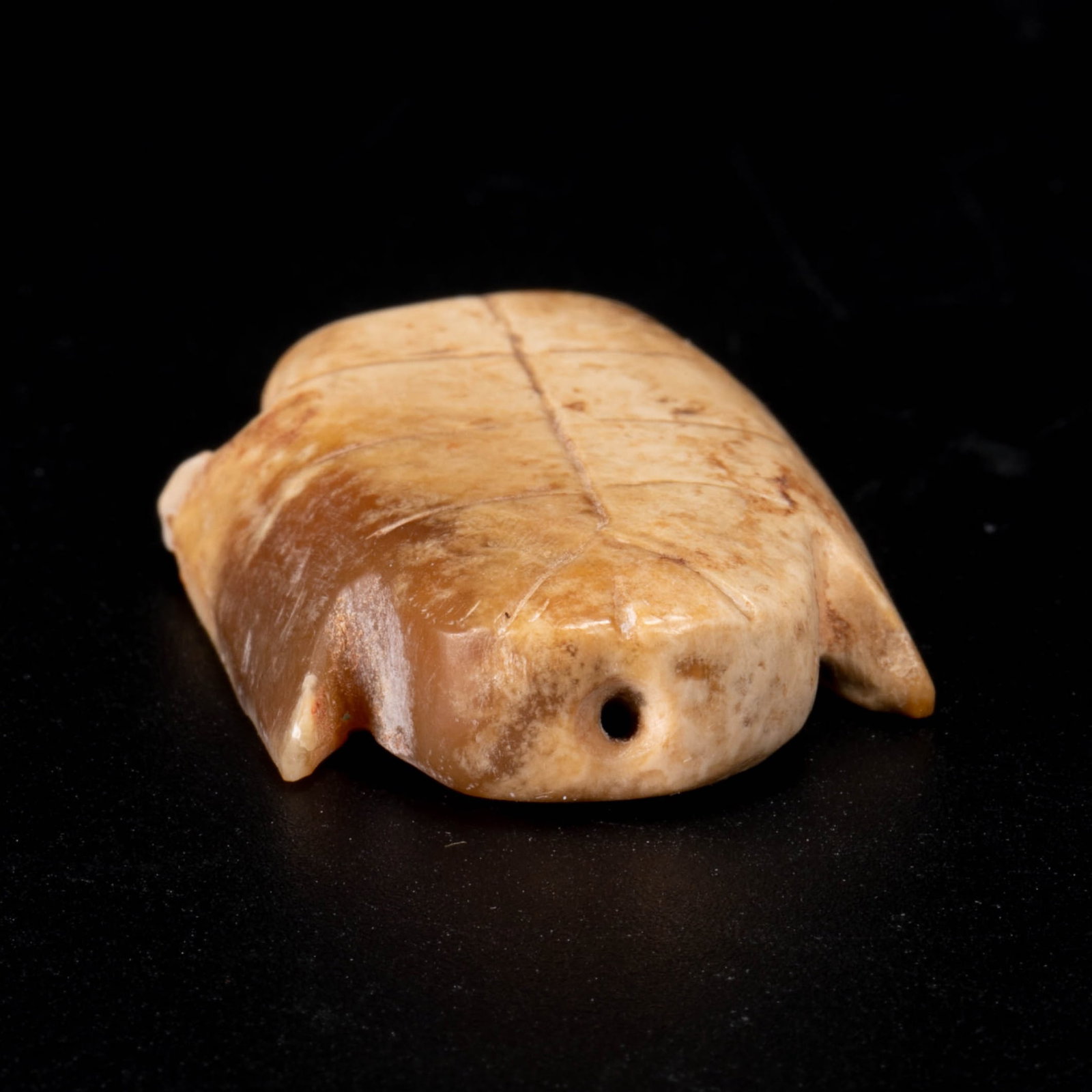 Shang Jade Oracle, Bone and Turtle Shell - 3
