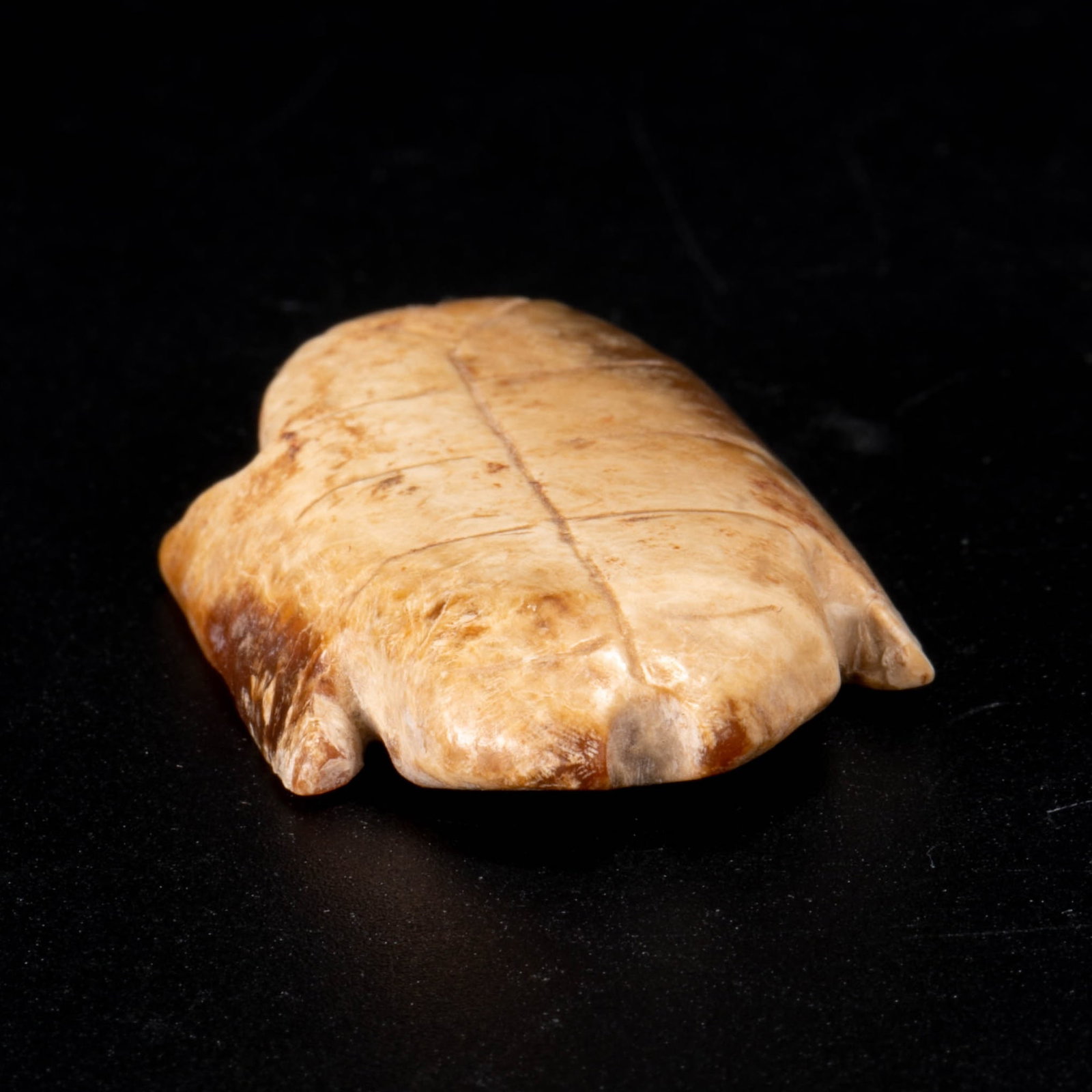 Shang Jade Oracle, Bone and Turtle Shell - 4