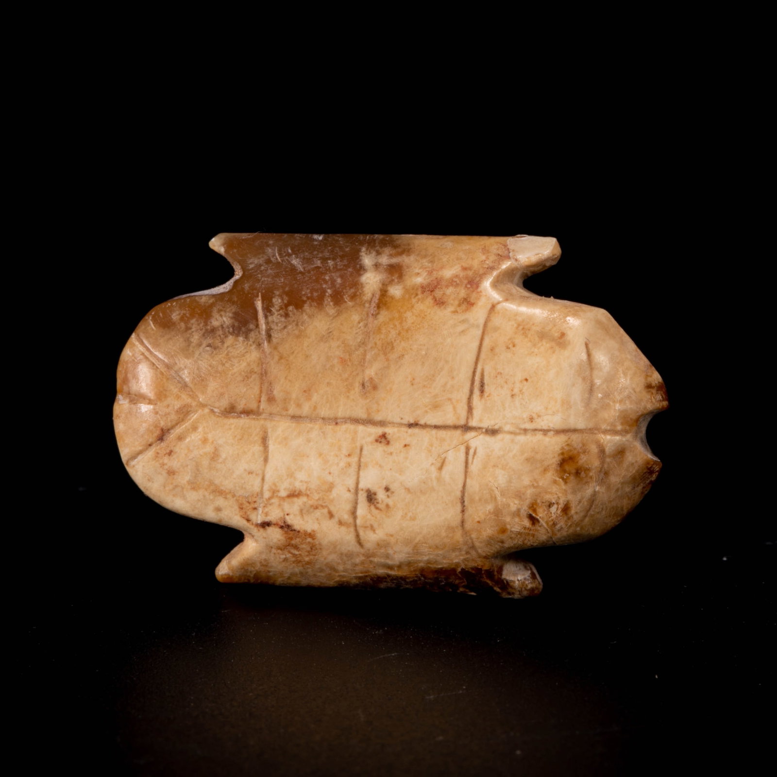 Shang Jade Oracle, Bone and Turtle Shell - 5