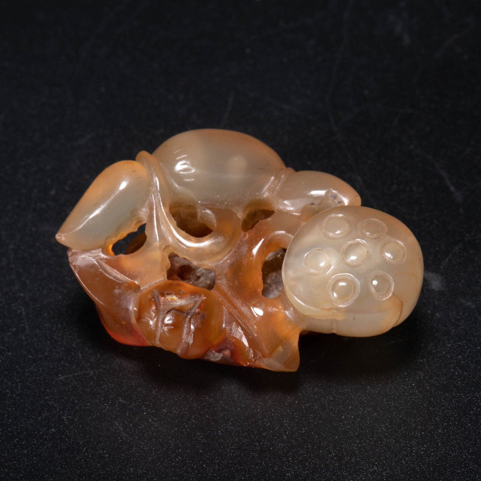 Old Agate Lotus Root Paperweight: Old Agate Lotus Root Paperweight