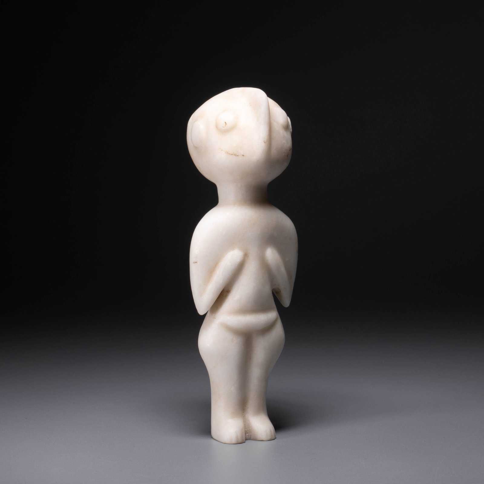 Stone Age Xiajiadian Divine Stargazer: Stone Age Xiajiadian Divine Stargazer