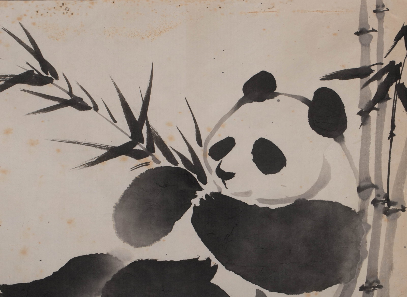 Wu Zuoren, panda - 5