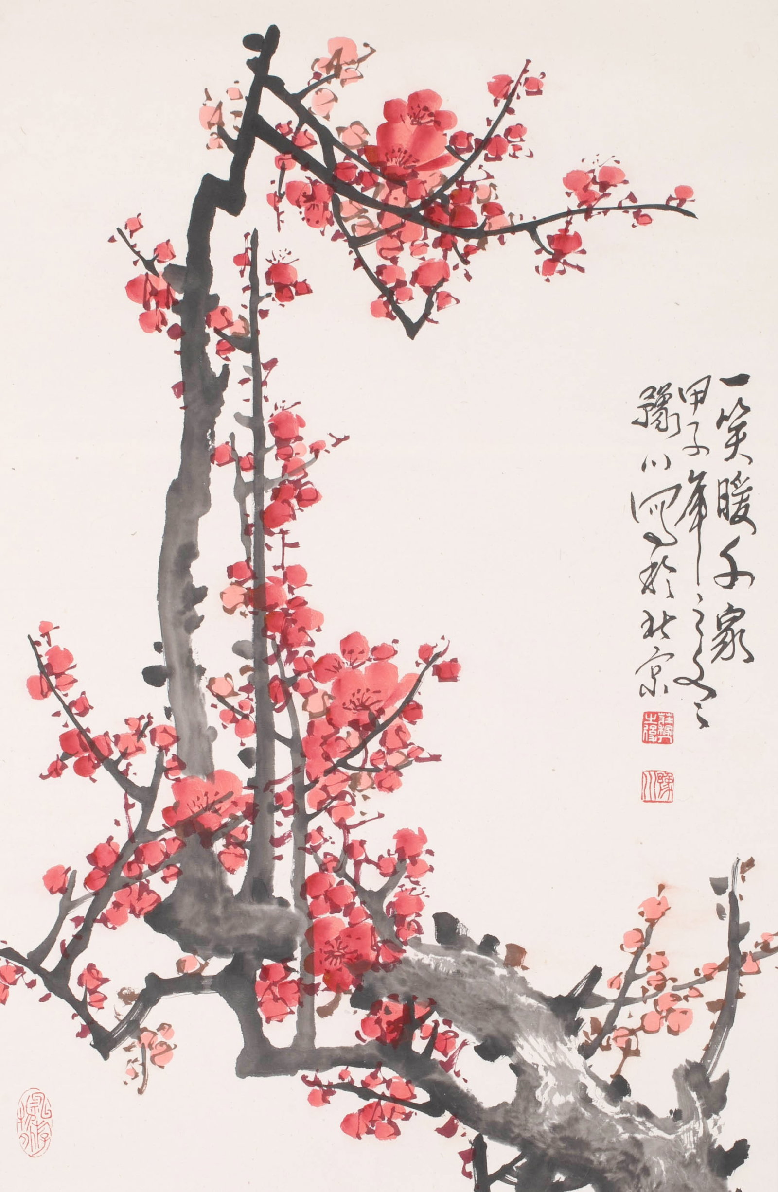 Yuchuan, red plum blossom: Yuchuan, red plum blossom