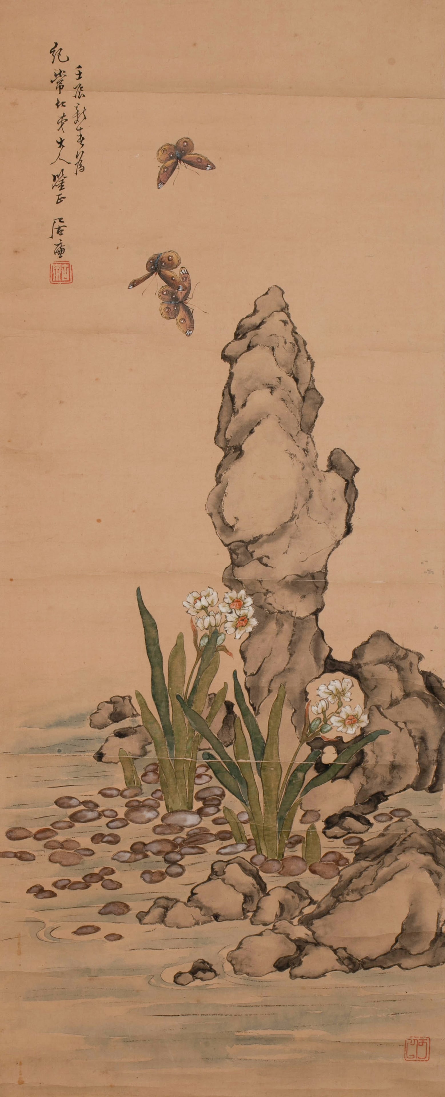 Ju Lian, lake rocks, narcissus and colorful butterflies: Ju Lian, lake rocks, narcissus and colorful butterflies