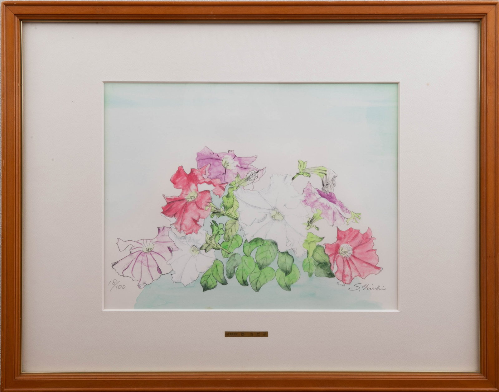 Nishisadako, Pechicoa,print: This is a work of the same type as the flower print "Petunia" (Petunia/Petunia) by S. Nishi. The painting uses light colors and water lines to outline morning glory-shaped flower clusters in pink,
