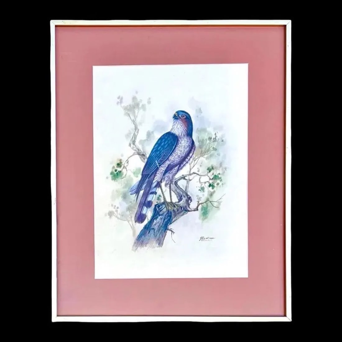 Hawk Avian Watercolor Painting (1 of 6)