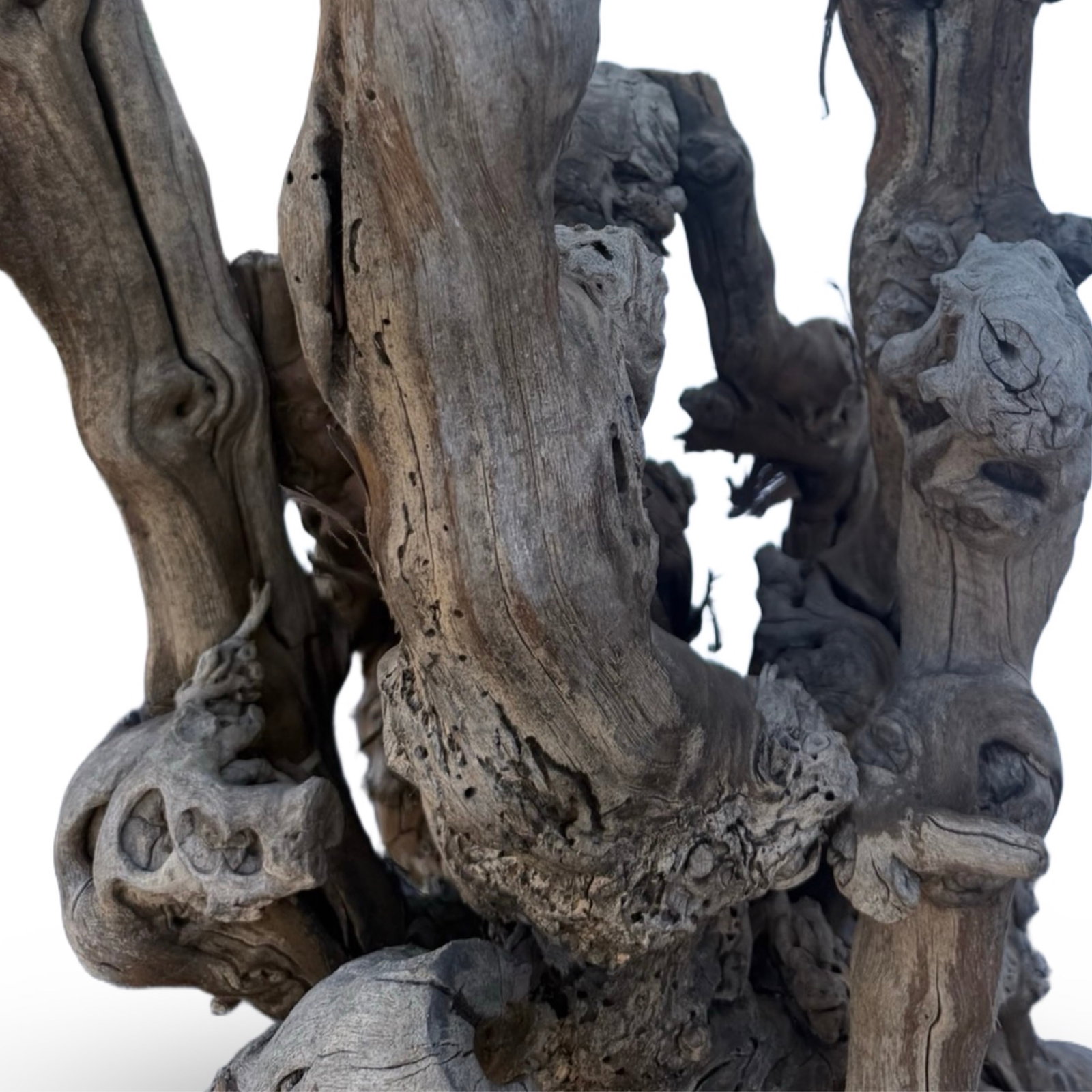 Tree Root Wood Side Table - 7