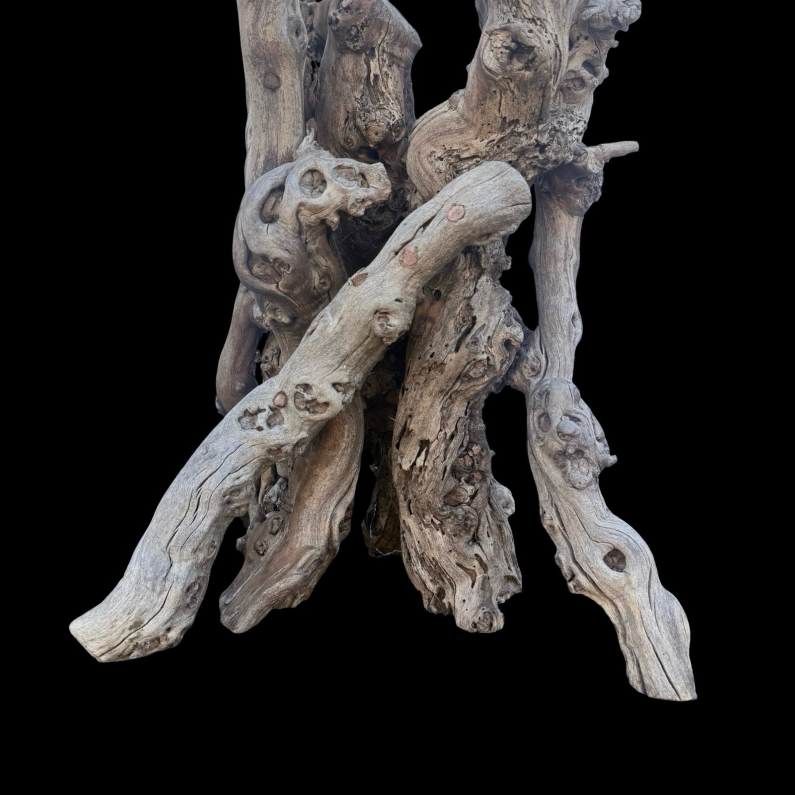 Tree Root Wood Side Table - 8
