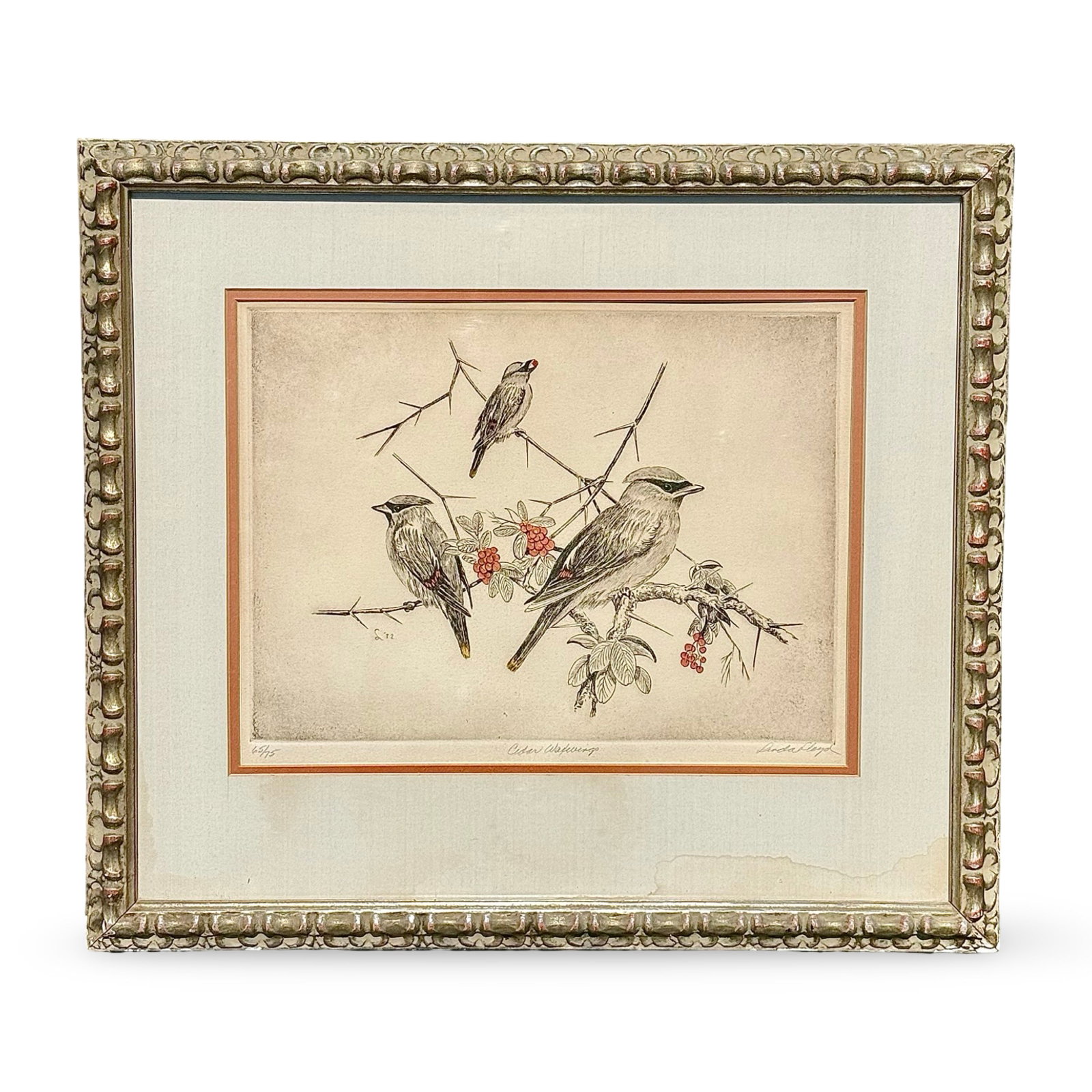 Linda Lloyd LE Bird Etching Print: Limited edition hand-colored avian etching Cedar Waxwings by Linda Lloyd, signed, titled, and numbered 65/75. Dated 1972, matted and framed. Approx. Dimensions: 22H x 24W x 1D inches