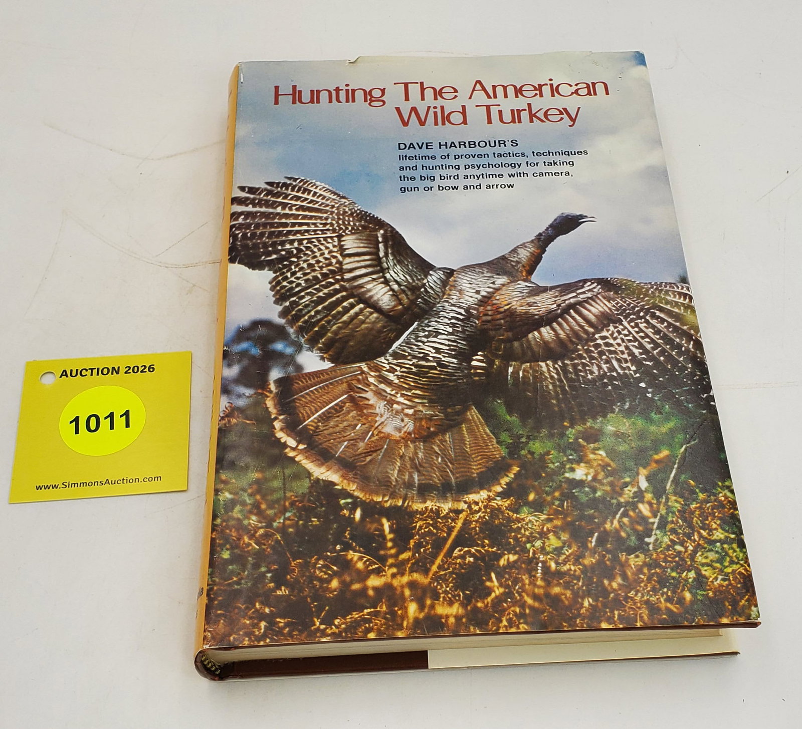 Hunting the American Wild Turkey (1 of 1)