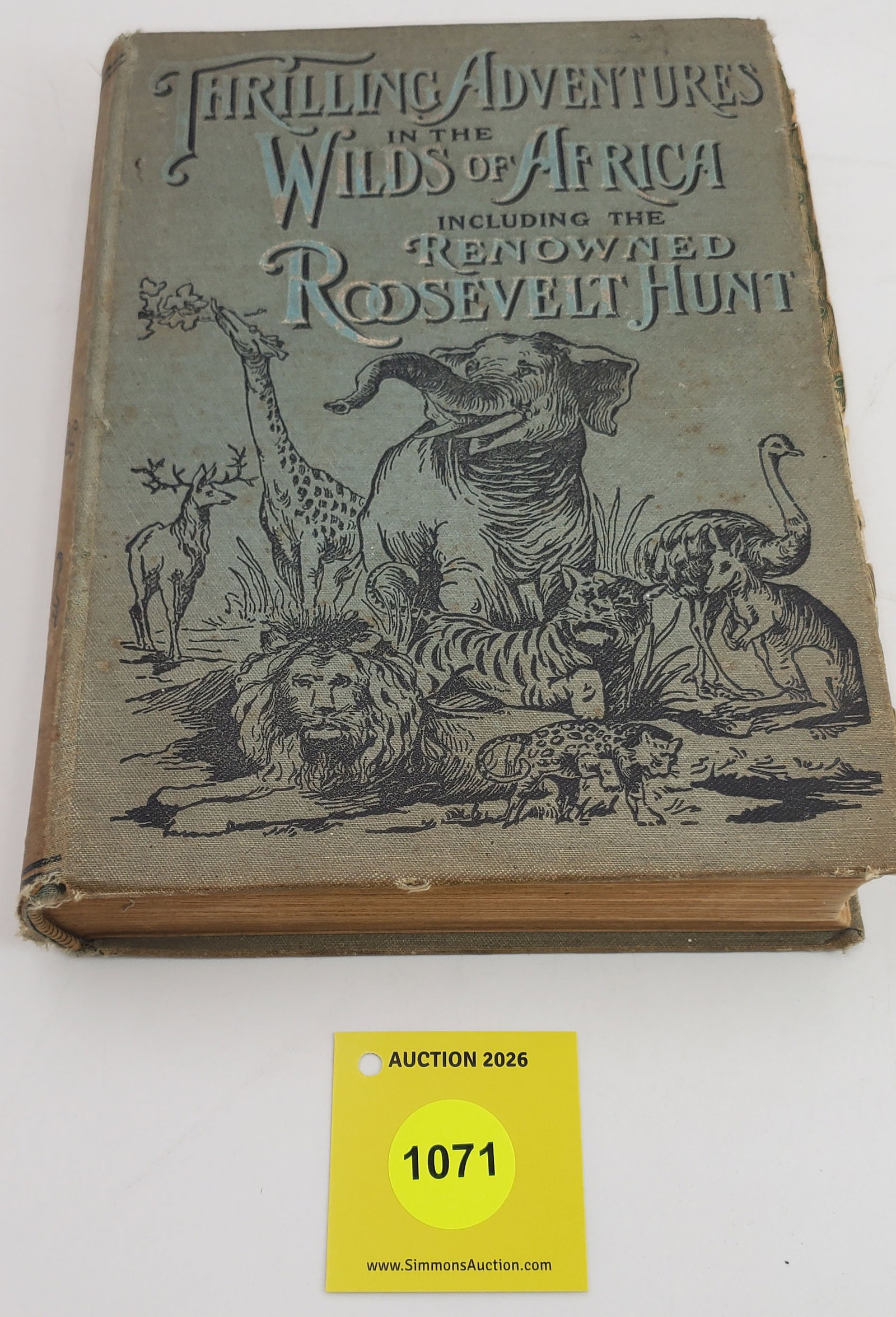 Thrilling Adventures in the Wilds of Africa book (1 of 1)
