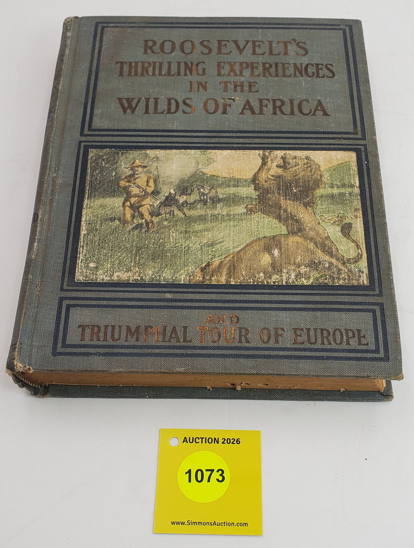 Thrilling Experiences in the Wild of Africa (1 of 1)