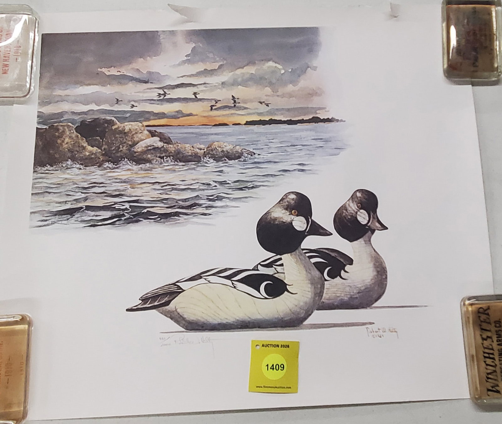 Golden eye ducks print. 460 out of 2,000 (1 of 1)