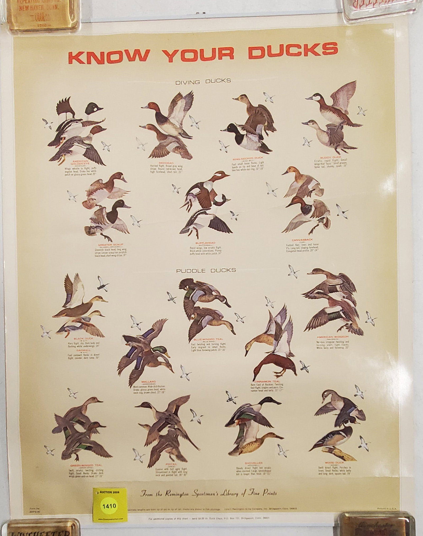 Know your ducks Remington poster: Know your ducks Remington poster