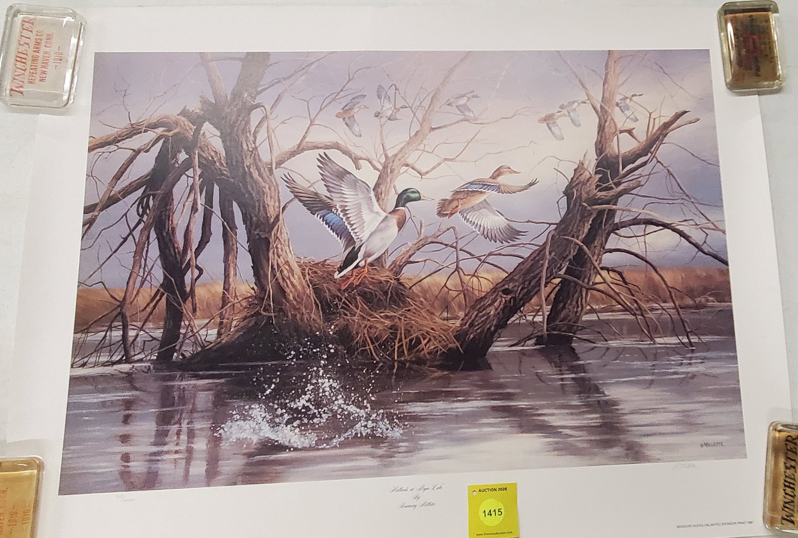 Mallards at Meyer lake by rosemary Millette .703 out of 2,000: Mallards at Meyer lake by rosemary Millette .703 out of 2,000