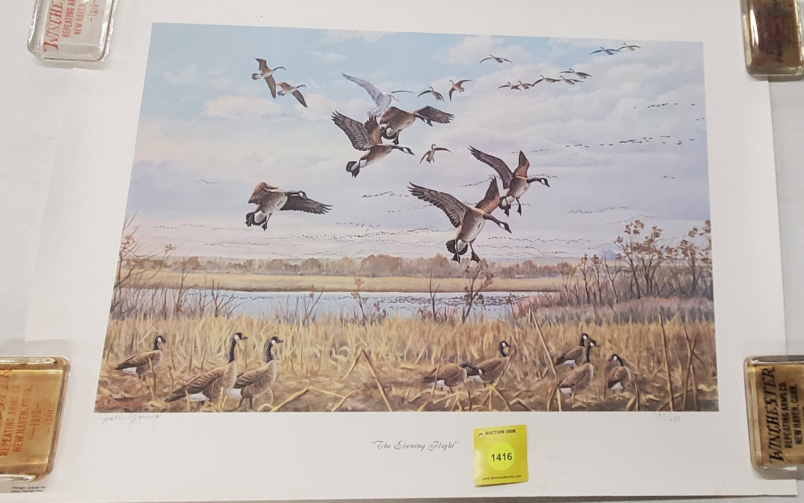 The evening Flight by Justin Young. 131 out of 600 (1 of 1)