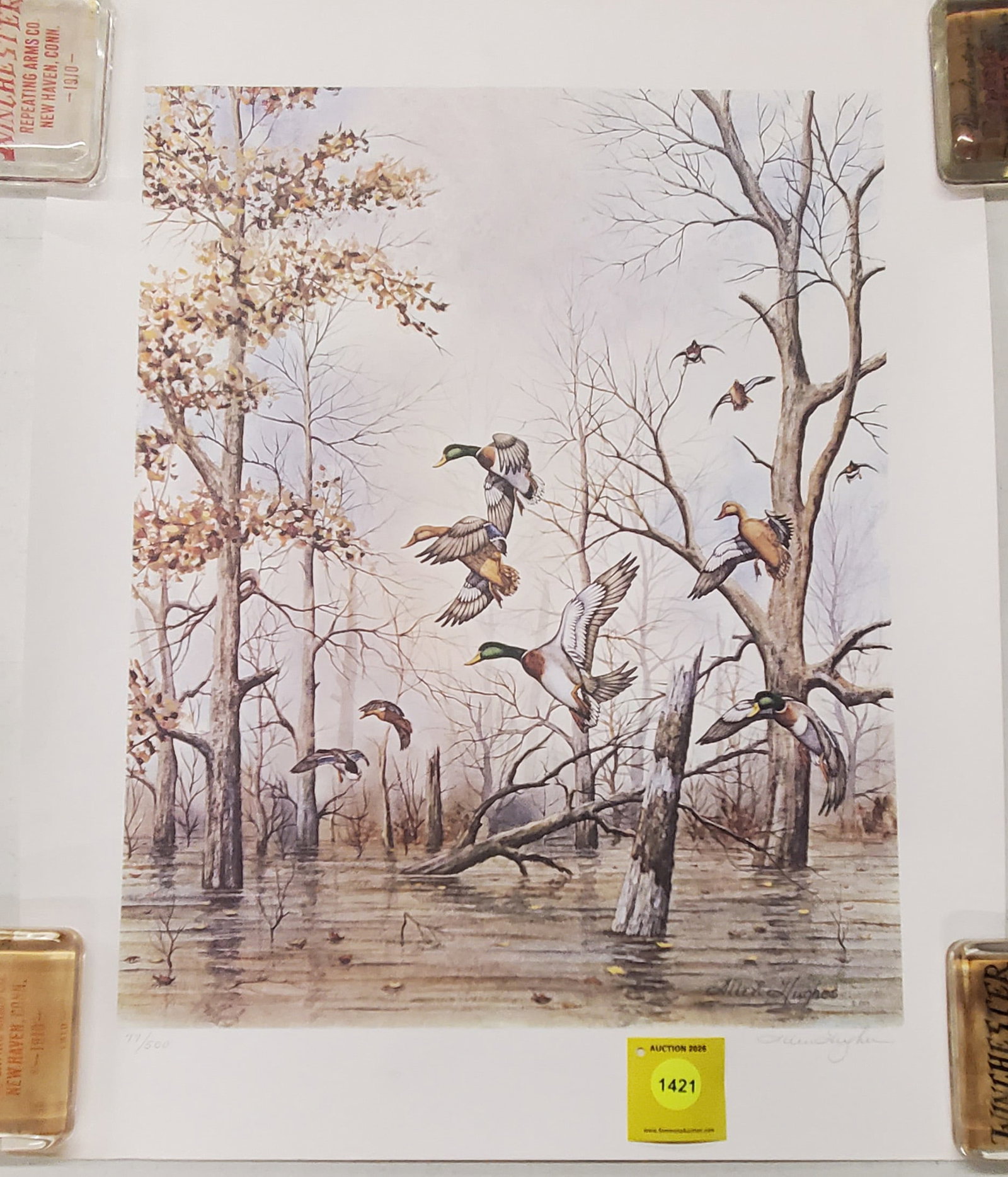 Mallard ducks print by Allen Hughes. 77 out of 500. (1 of 1)