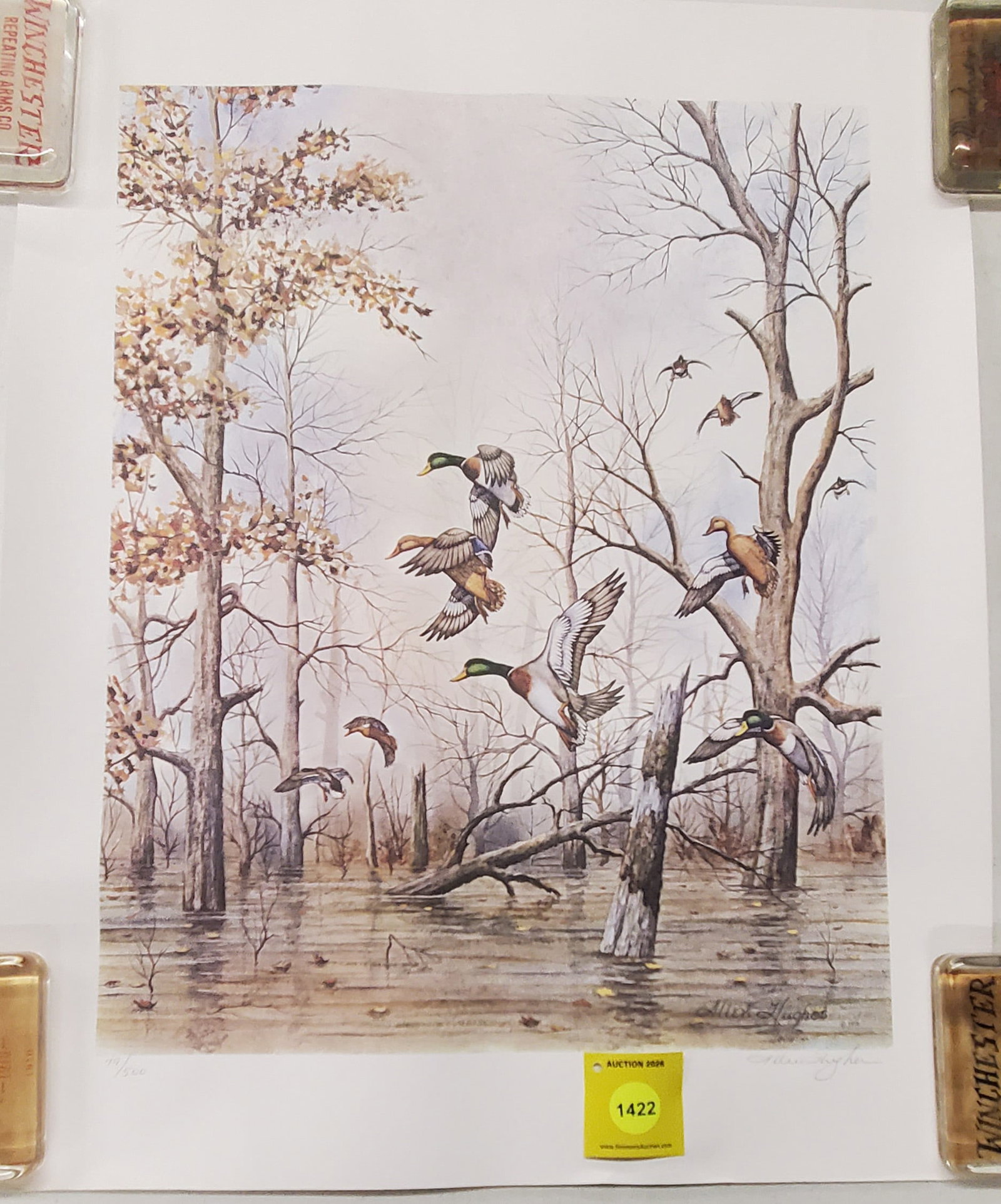 Mallard Ducks print by Allen Huges. 79 out of 500. (1 of 1)