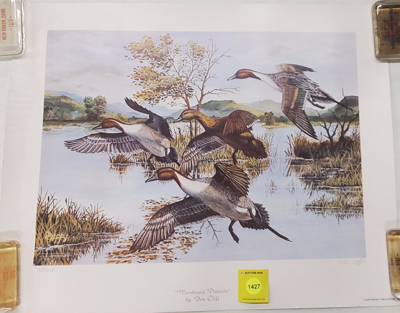 Marshland pin tails by Don Cliff. 37 out of 500. (1 of 1)