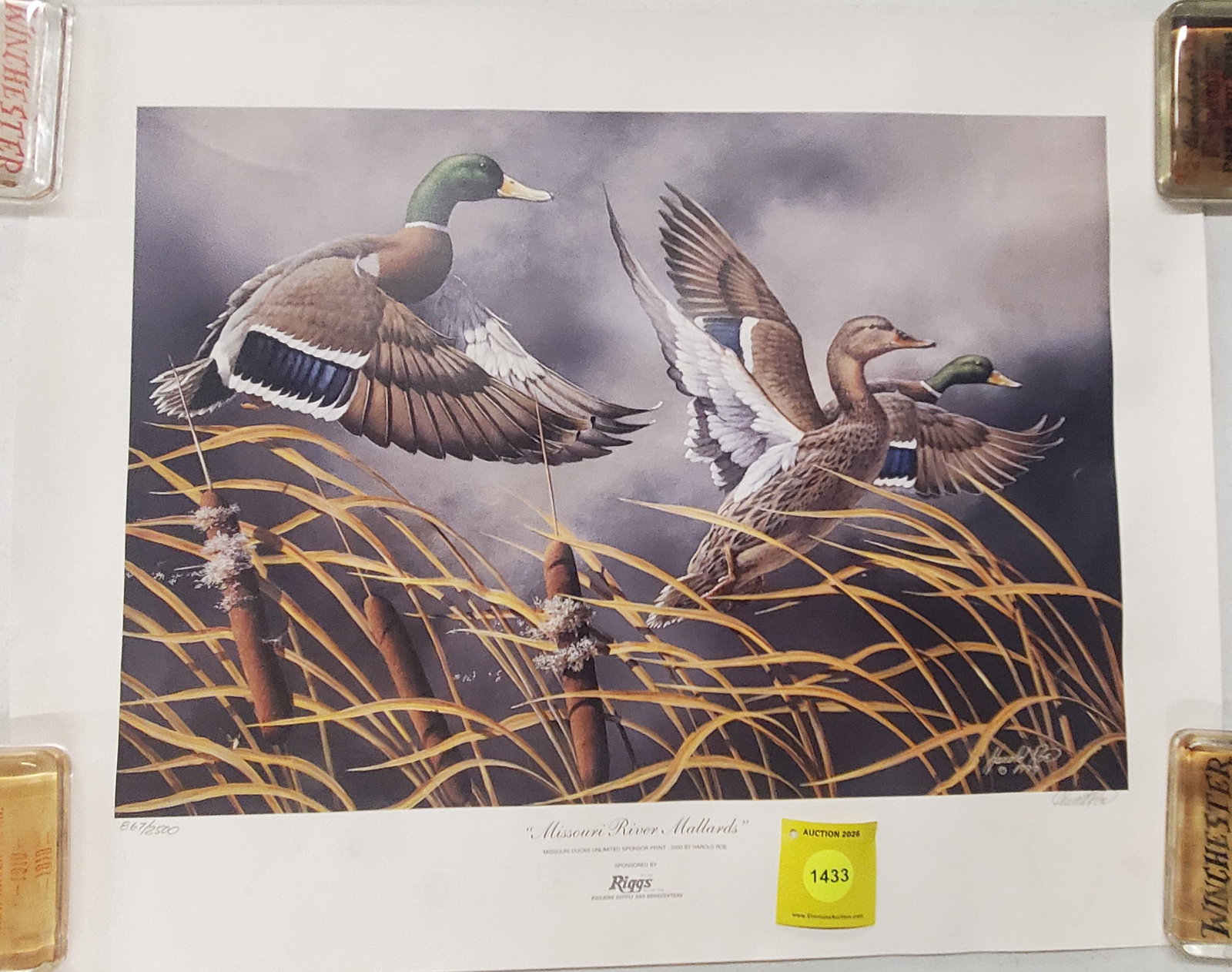 Missouri River Mallards by Harlod Row (1999). 867 out of 2,500 (1 of 1)