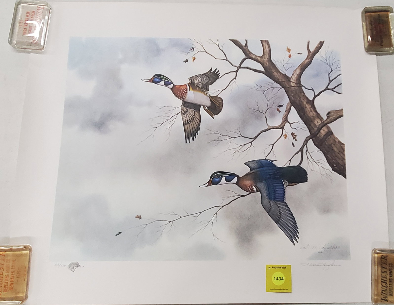 Wood duck print by Allen Hughes (1975) . 83 out of 750 (1 of 1)