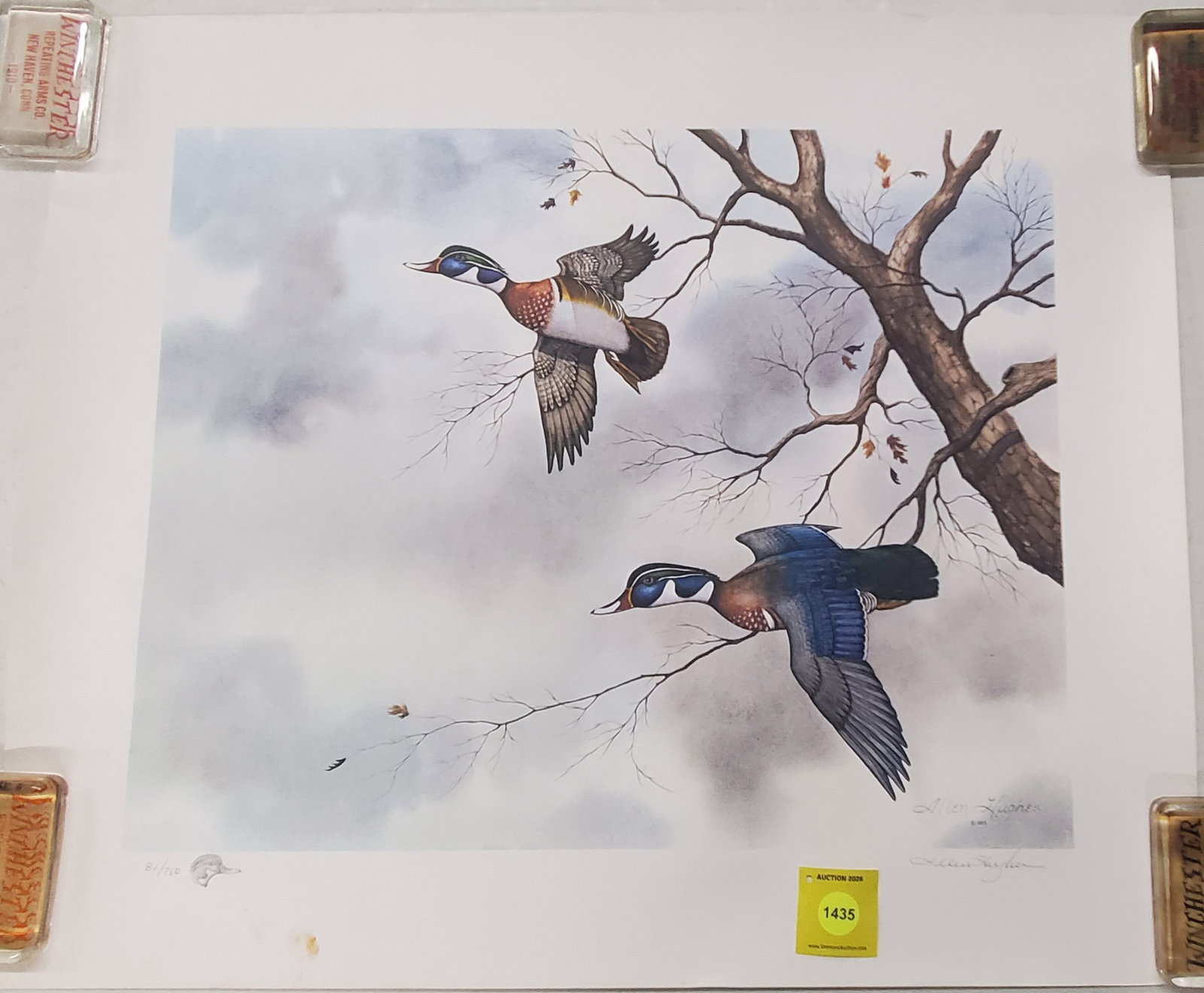 Wood duck print by Allen Hughes (1975) . 81 out of 750 (1 of 1)