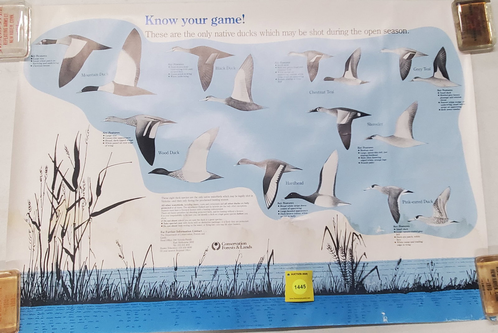 Conservation forest and lands know your game poster (1 of 1)