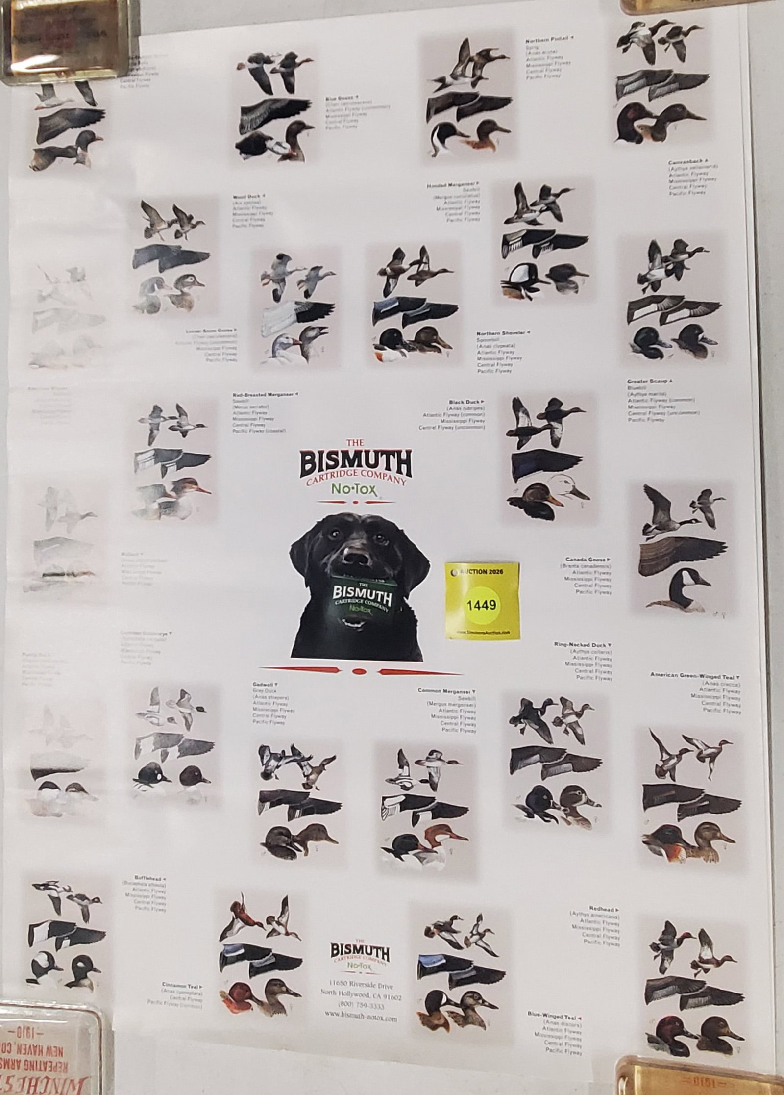 Lot of 2 Bismuth duck posters (1 of 1)
