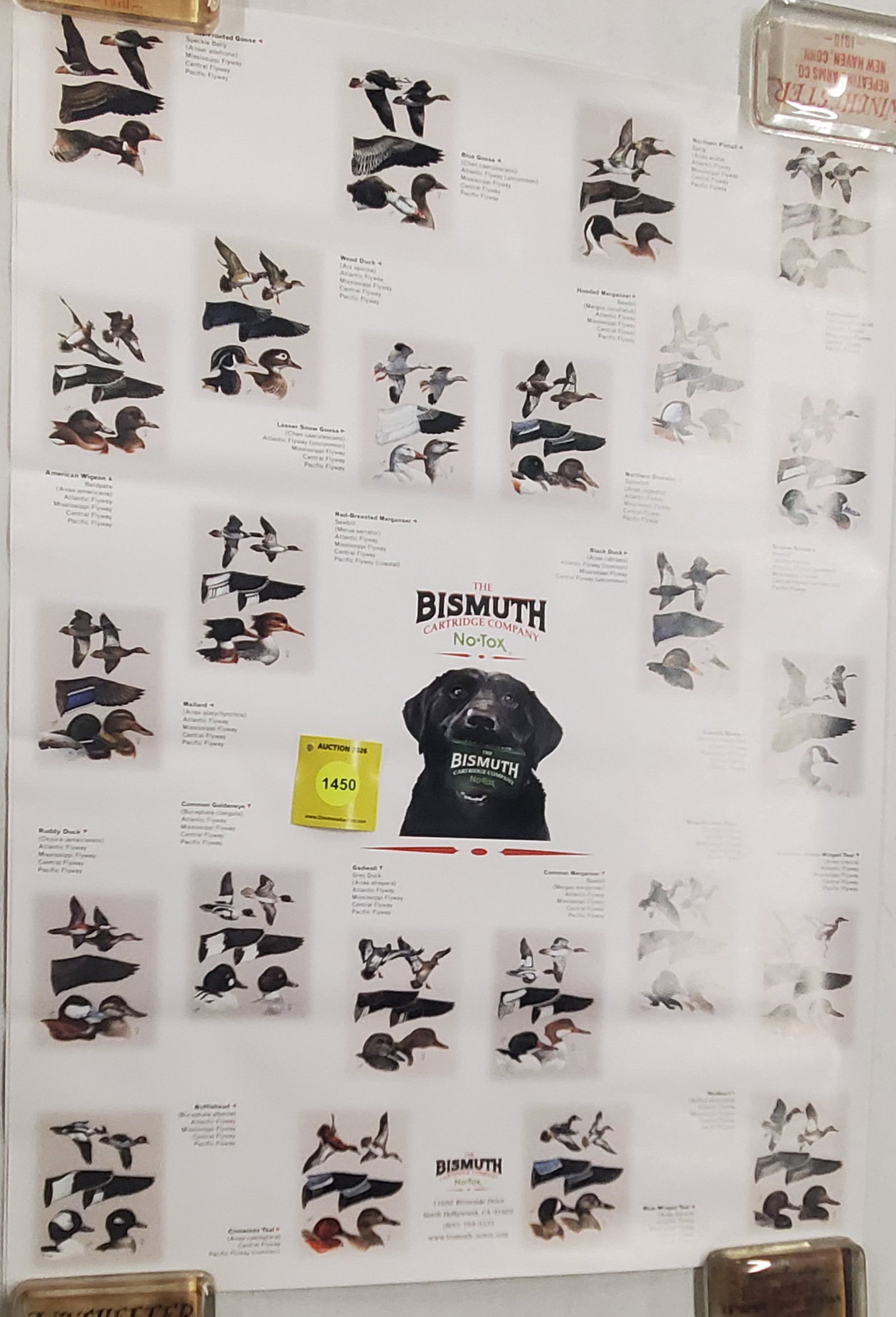 Lot of 2 Bismuth duck posters (1 of 1)